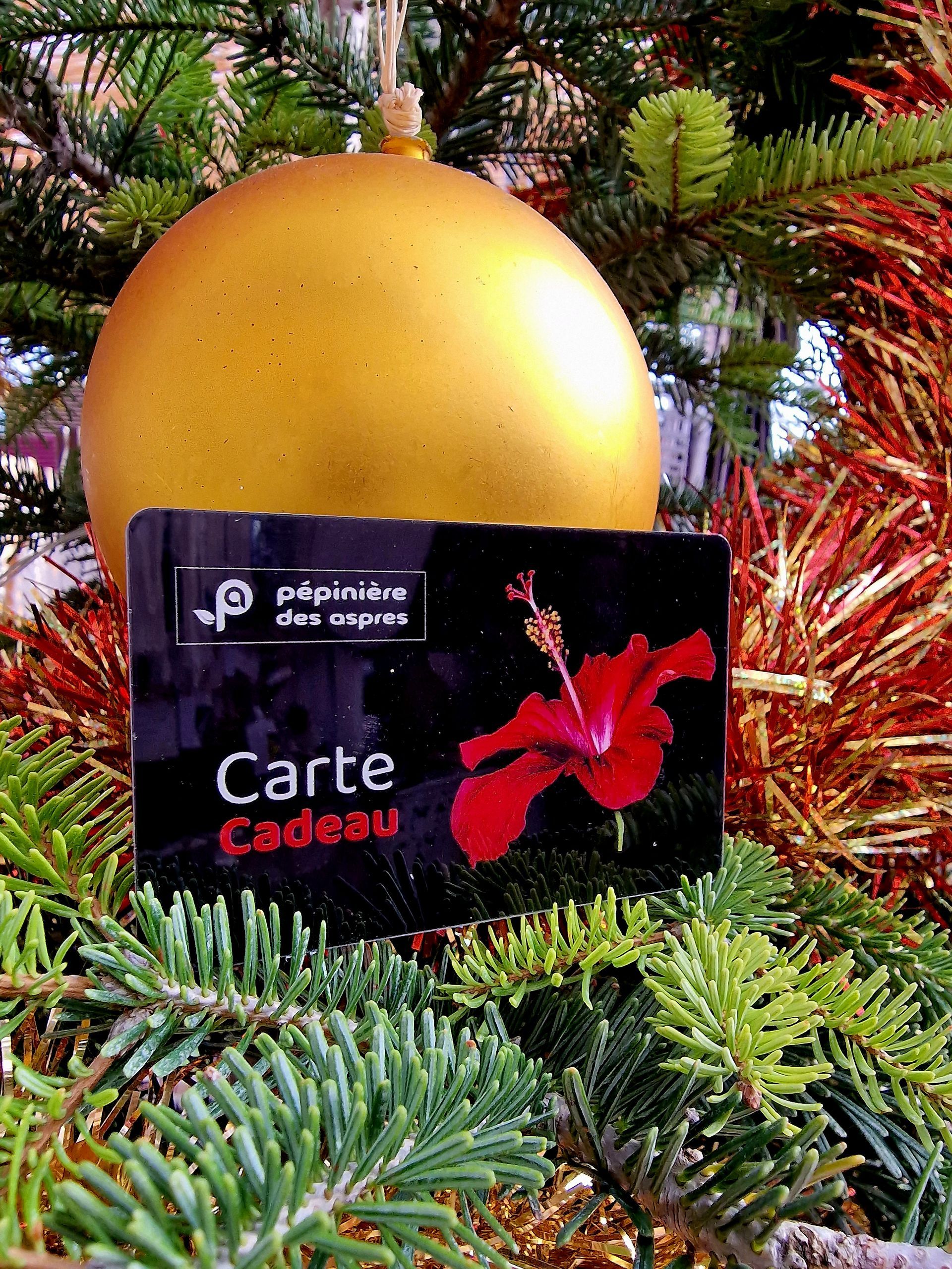 PEPINIERE DES ASPRES GRASSE 2024 ALPES MARITIMES JARDINERIE