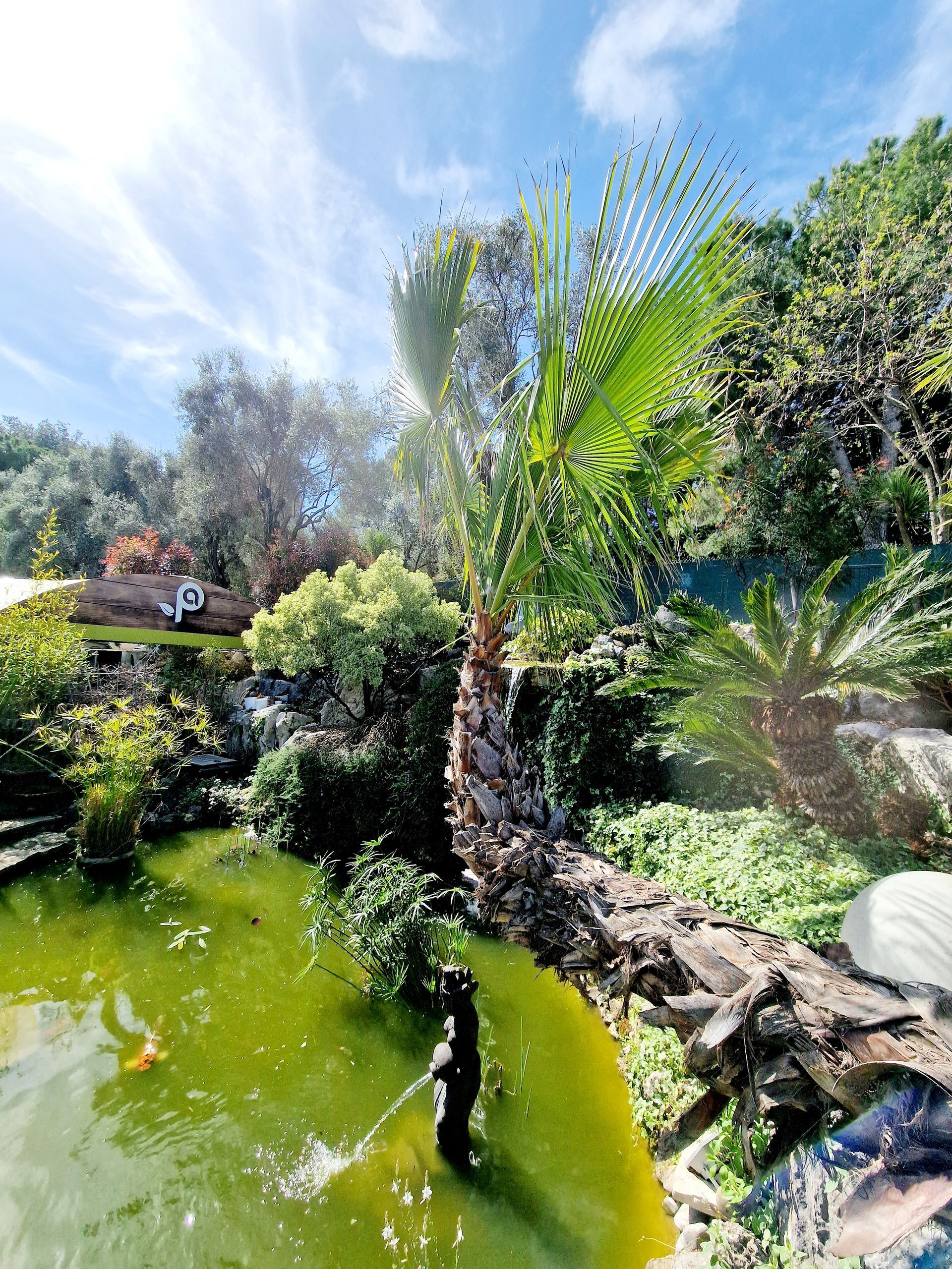 pepiniere jardinerie alpes maritimes 2025 2024 pepinière des aspres jardiner