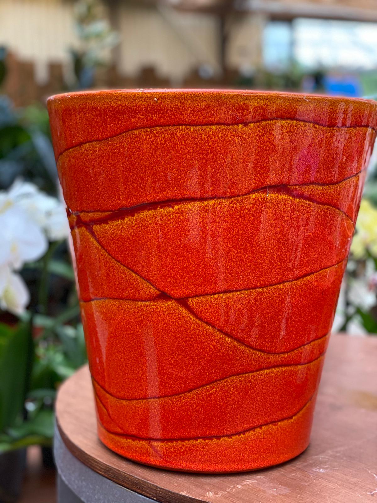 PEPINIERE DES ASPRES GRASSE 2024 ALPES MARITIMES JARDINERIE