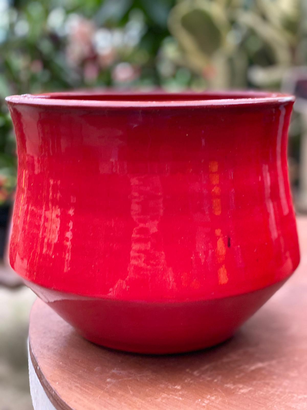 PEPINIERE DES ASPRES GRASSE 2024 ALPES MARITIMES JARDINERIE