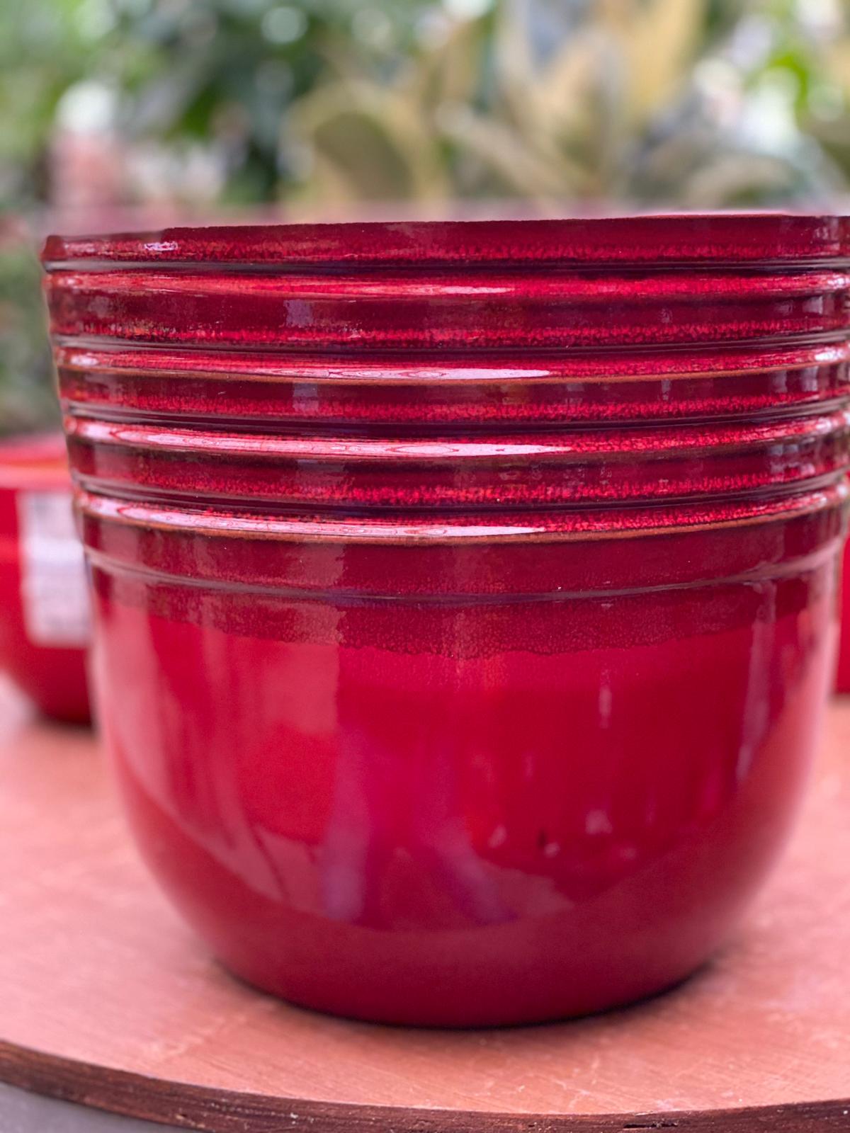 PEPINIERE DES ASPRES GRASSE 2024 ALPES MARITIMES JARDINERIE