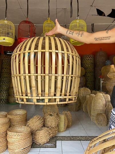 PEPINIERE DES ASPRES GRASSE 2024 ALPES MARITIMES JARDINERIE