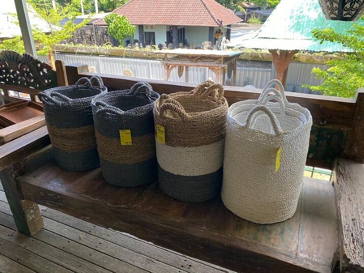 PEPINIERE DES ASPRES GRASSE 2024 ALPES MARITIMES JARDINERIE