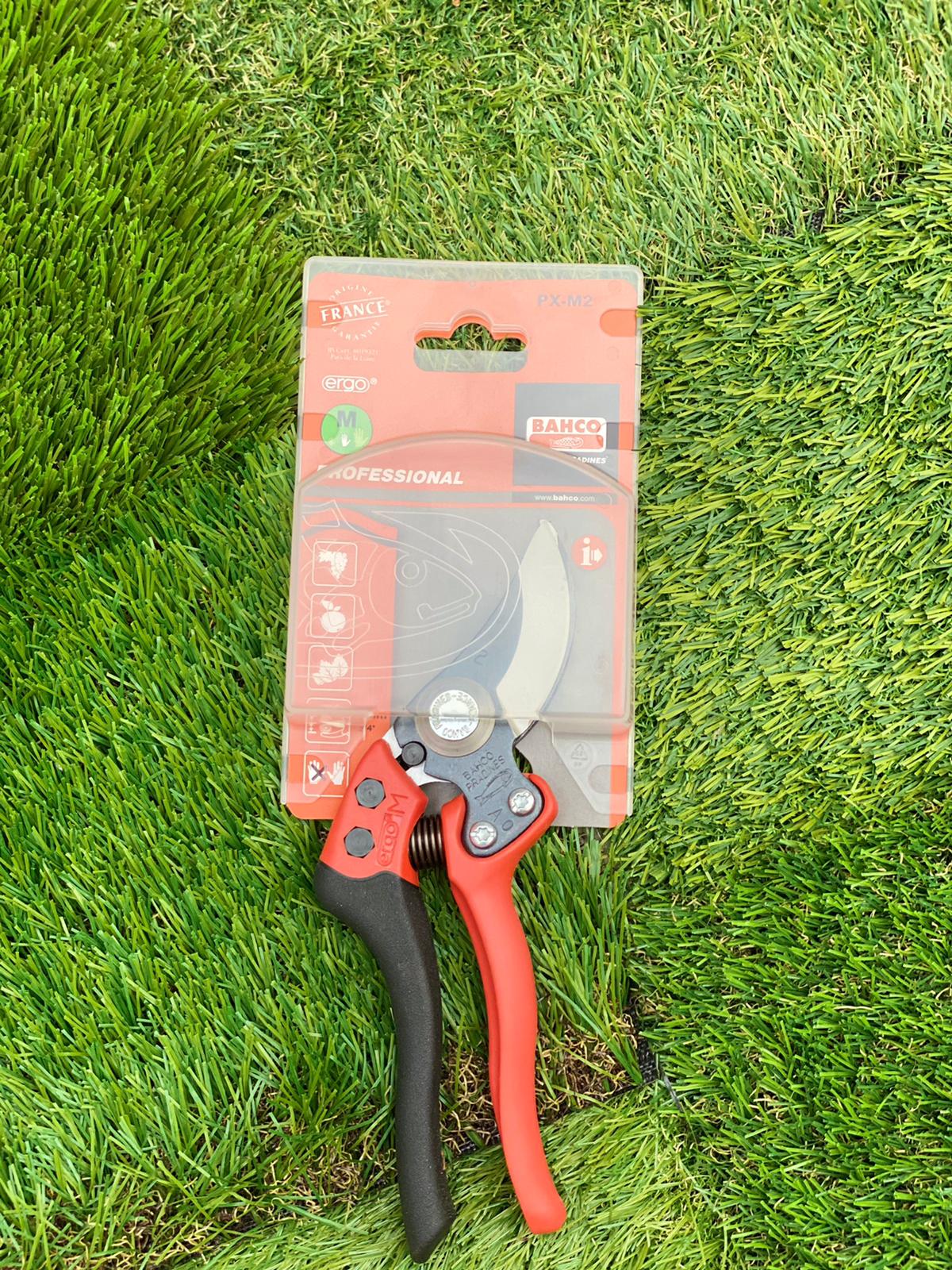 PEPINIERE DES ASPRES GRASSE 2024 ALPES MARITIMES JARDINERIE