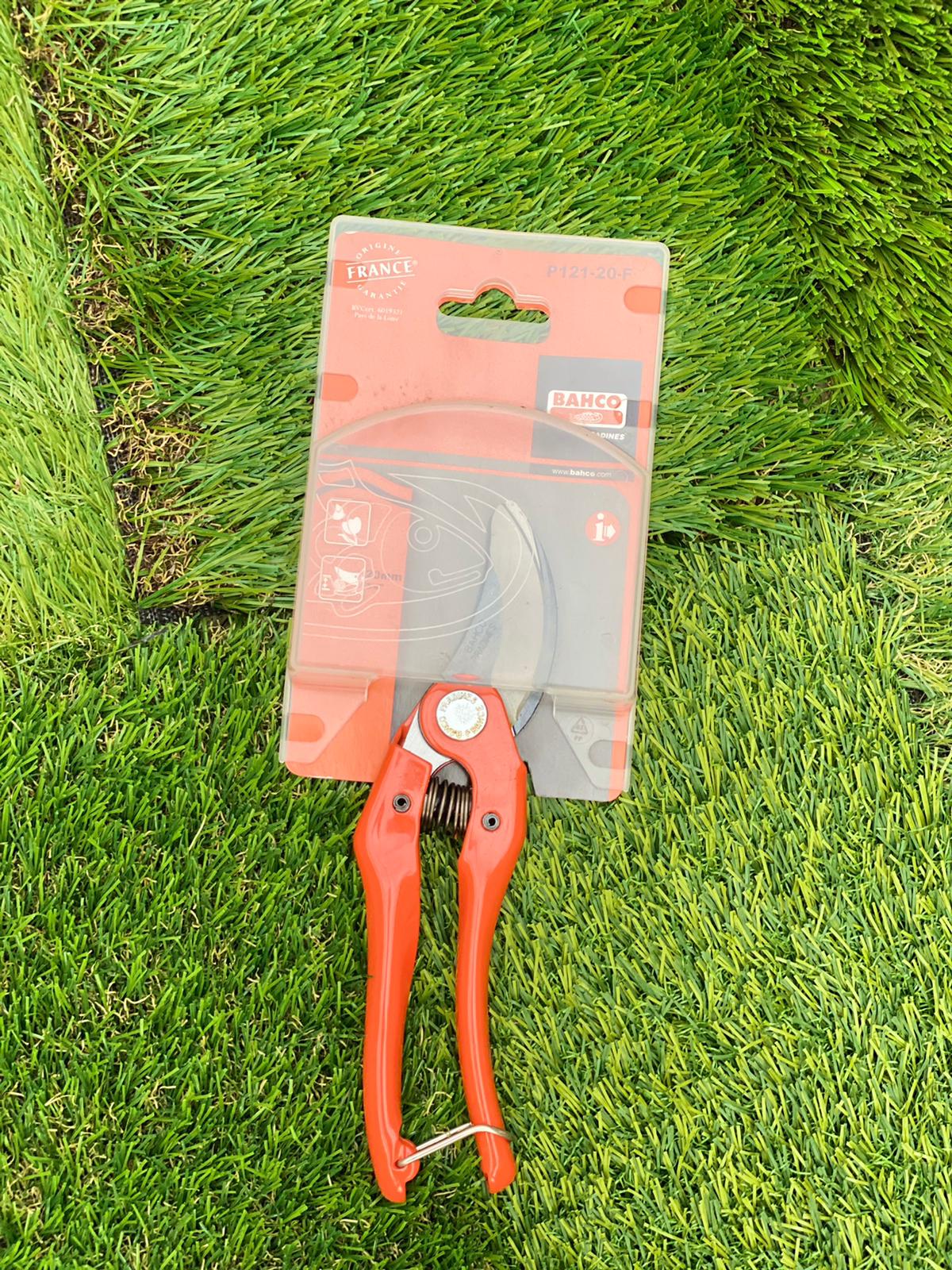 PEPINIERE DES ASPRES GRASSE 2024 ALPES MARITIMES JARDINERIE