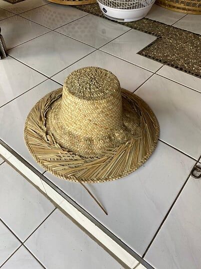 PEPINIERE DES ASPRES GRASSE 2024 ALPES MARITIMES JARDINERIE