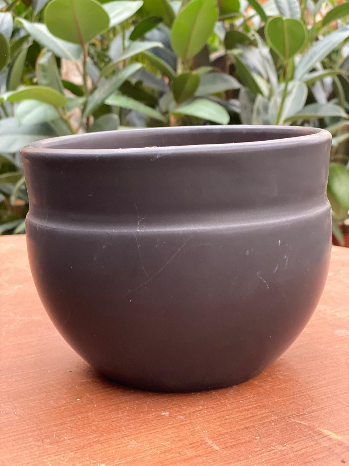 PEPINIERE DES ASPRES GRASSE 2024 ALPES MARITIMES JARDINERIE