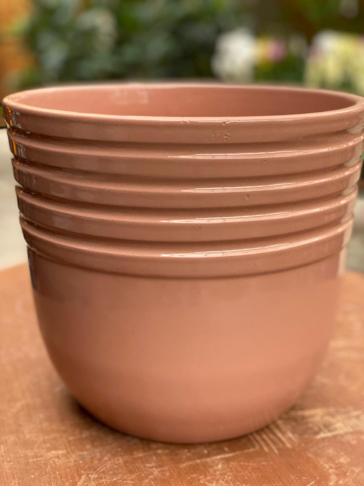 PEPINIERE DES ASPRES GRASSE 2024 ALPES MARITIMES JARDINERIE