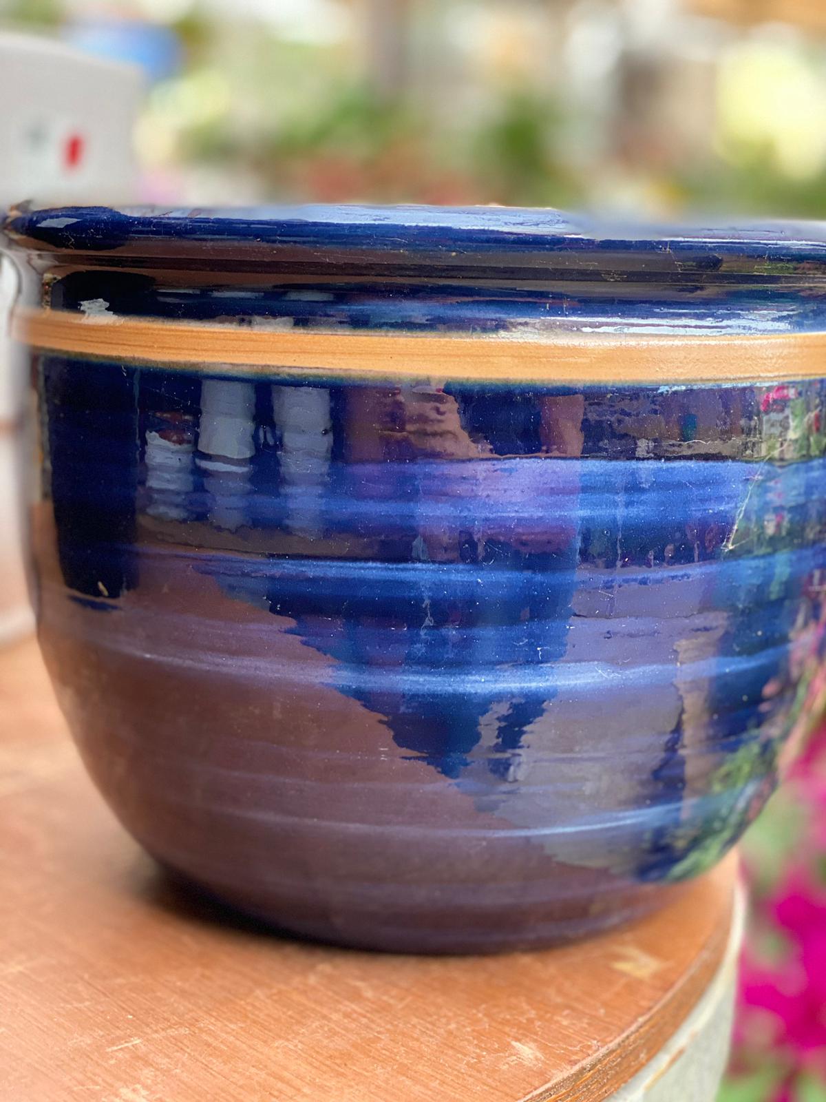 PEPINIERE DES ASPRES GRASSE 2024 ALPES MARITIMES JARDINERIE