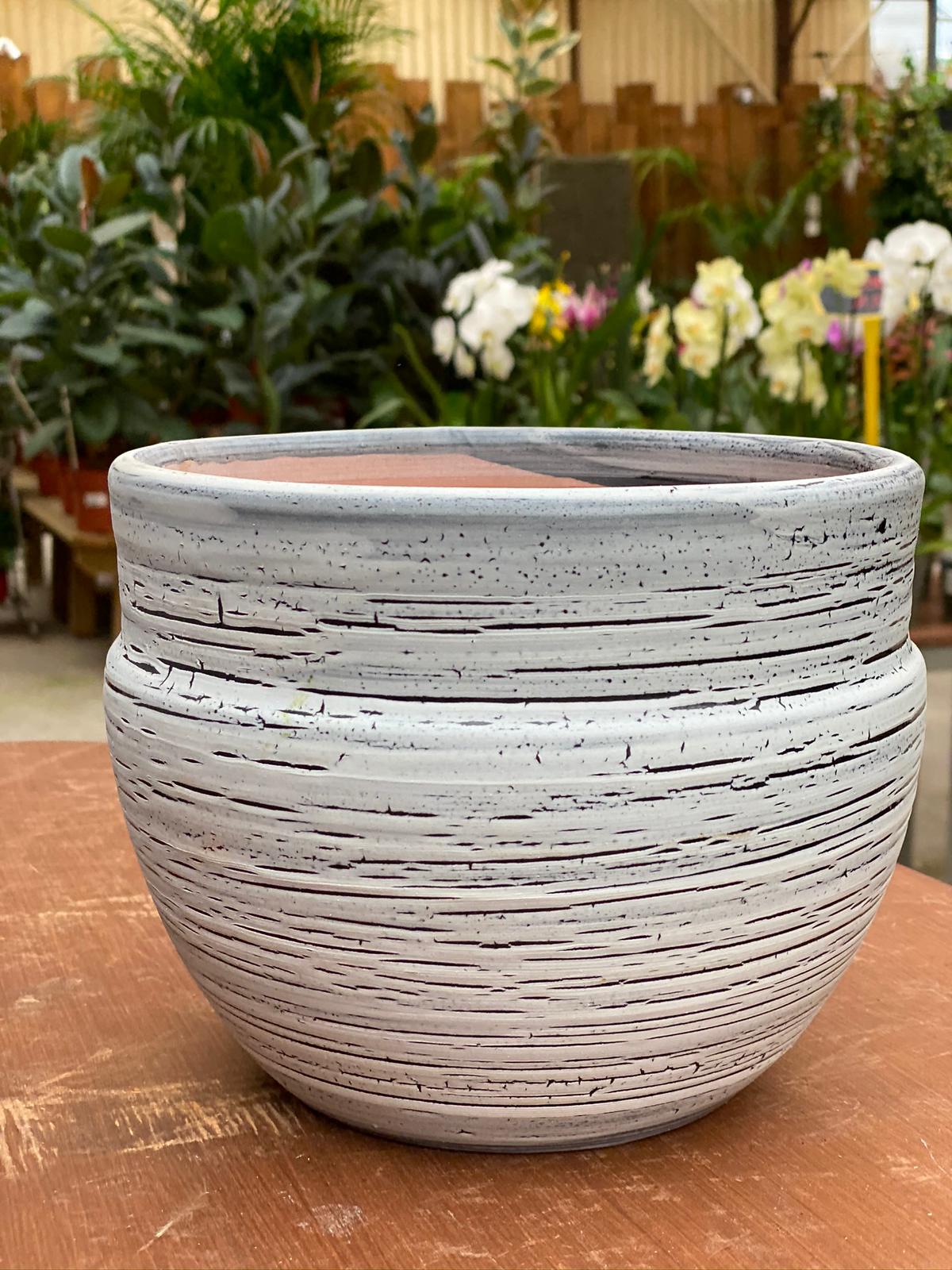 PEPINIERE DES ASPRES GRASSE 2024 ALPES MARITIMES JARDINERIE