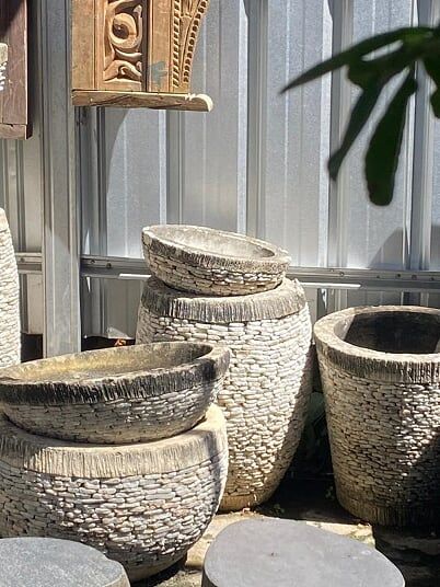 PEPINIERE DES ASPRES GRASSE 2024 ALPES MARITIMES JARDINERIE