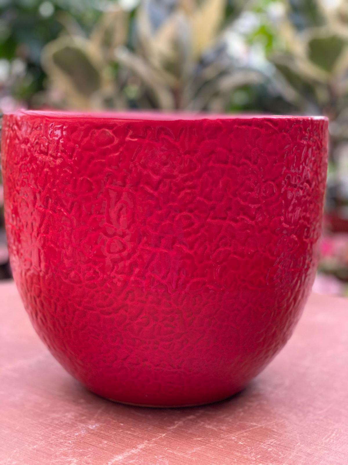 PEPINIERE DES ASPRES GRASSE 2024 ALPES MARITIMES JARDINERIE