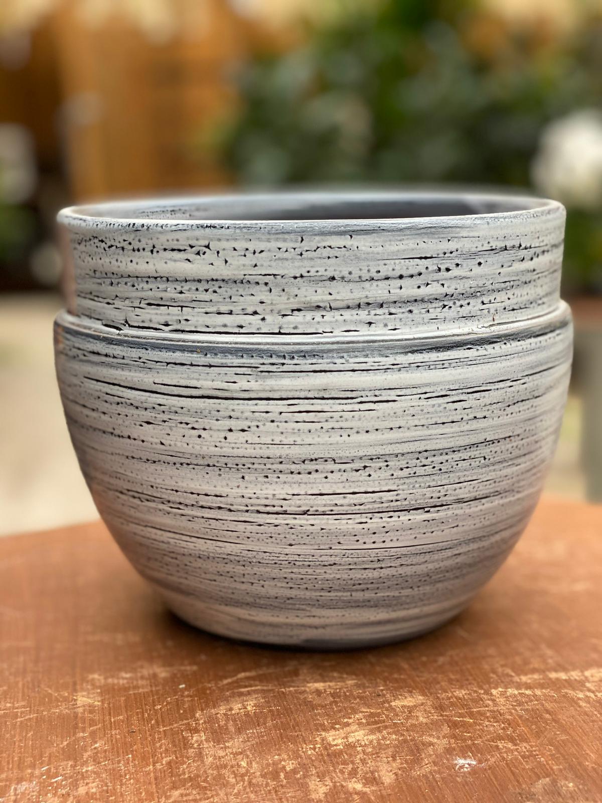 PEPINIERE DES ASPRES GRASSE 2024 ALPES MARITIMES JARDINERIE