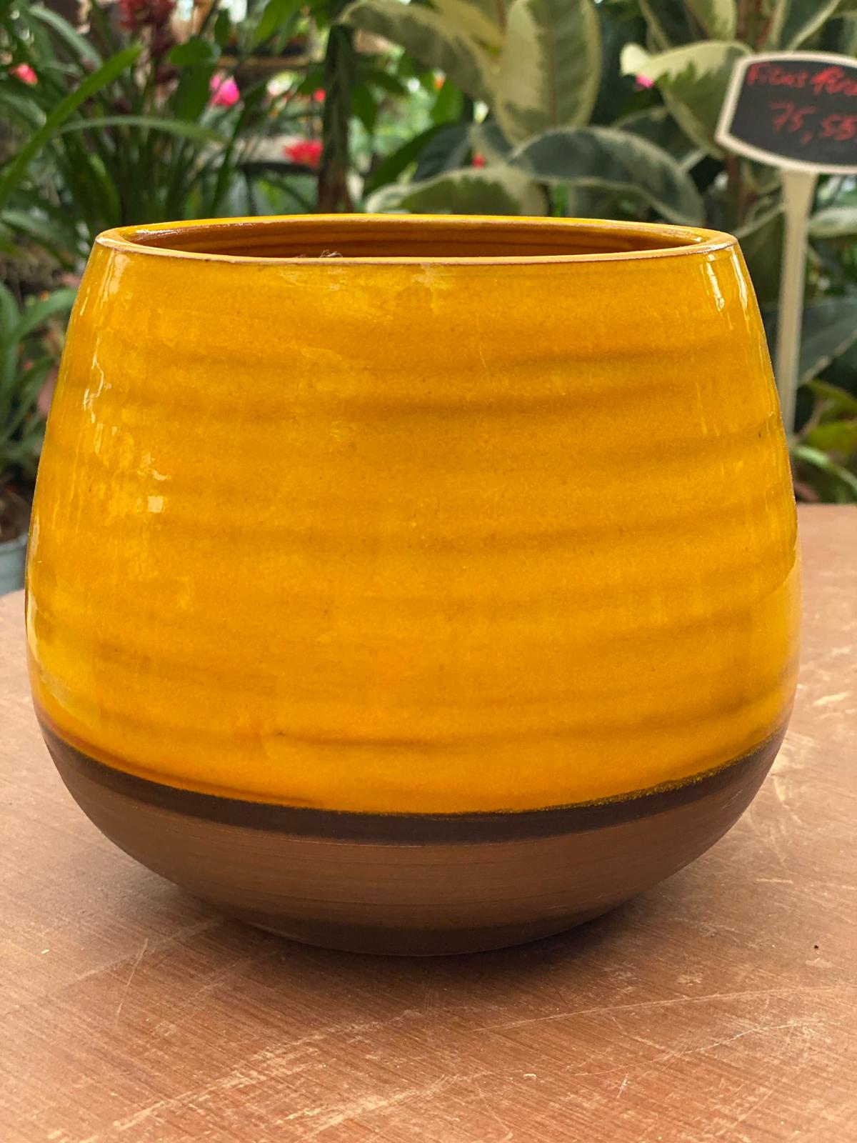 PEPINIERE DES ASPRES GRASSE 2024 ALPES MARITIMES JARDINERIE