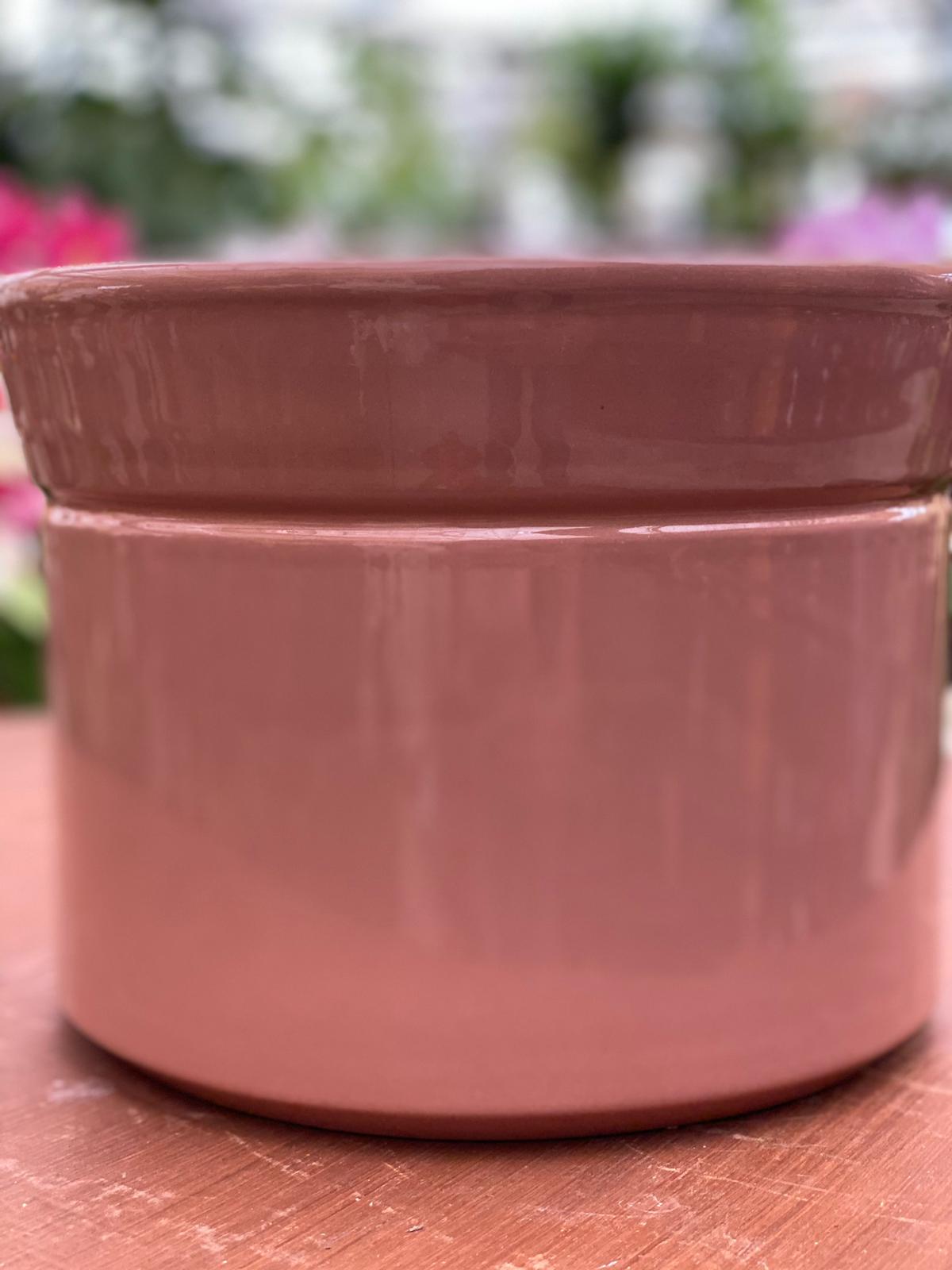 PEPINIERE DES ASPRES GRASSE 2024 ALPES MARITIMES JARDINERIE