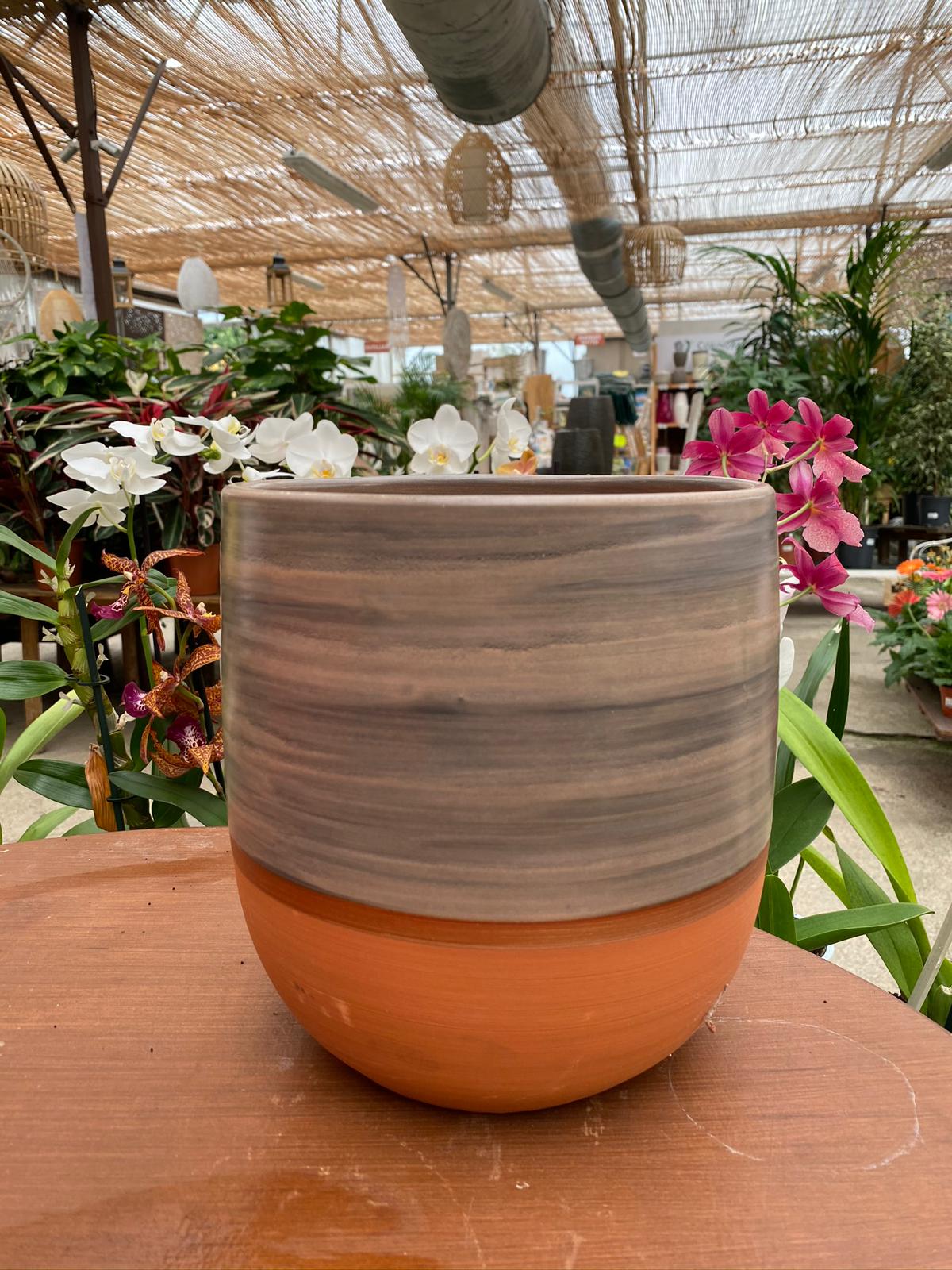 PEPINIERE DES ASPRES GRASSE 2024 ALPES MARITIMES JARDINERIE