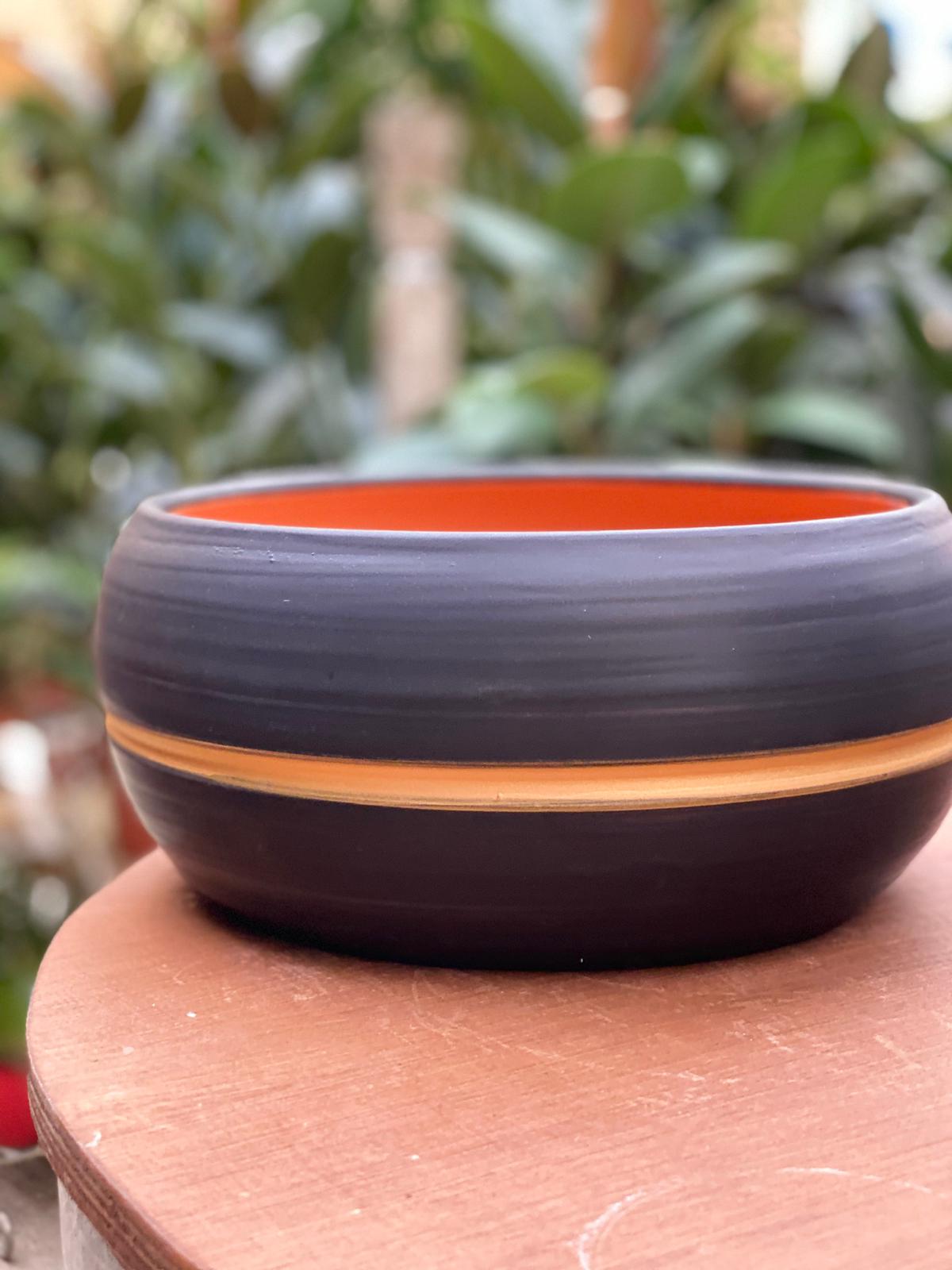 PEPINIERE DES ASPRES GRASSE 2024 ALPES MARITIMES JARDINERIE