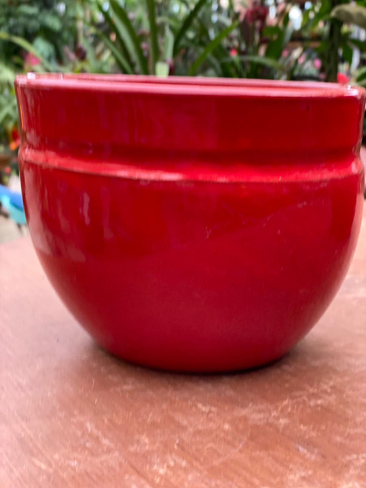 PEPINIERE DES ASPRES GRASSE 2024 ALPES MARITIMES JARDINERIE