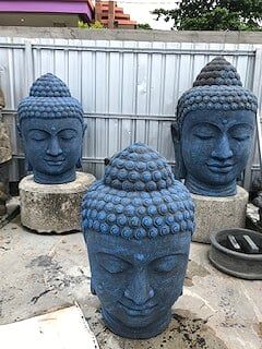 NURSERY DES ASPRES GRASSE 2024 ALPES MARITIMES GARDEN CARE