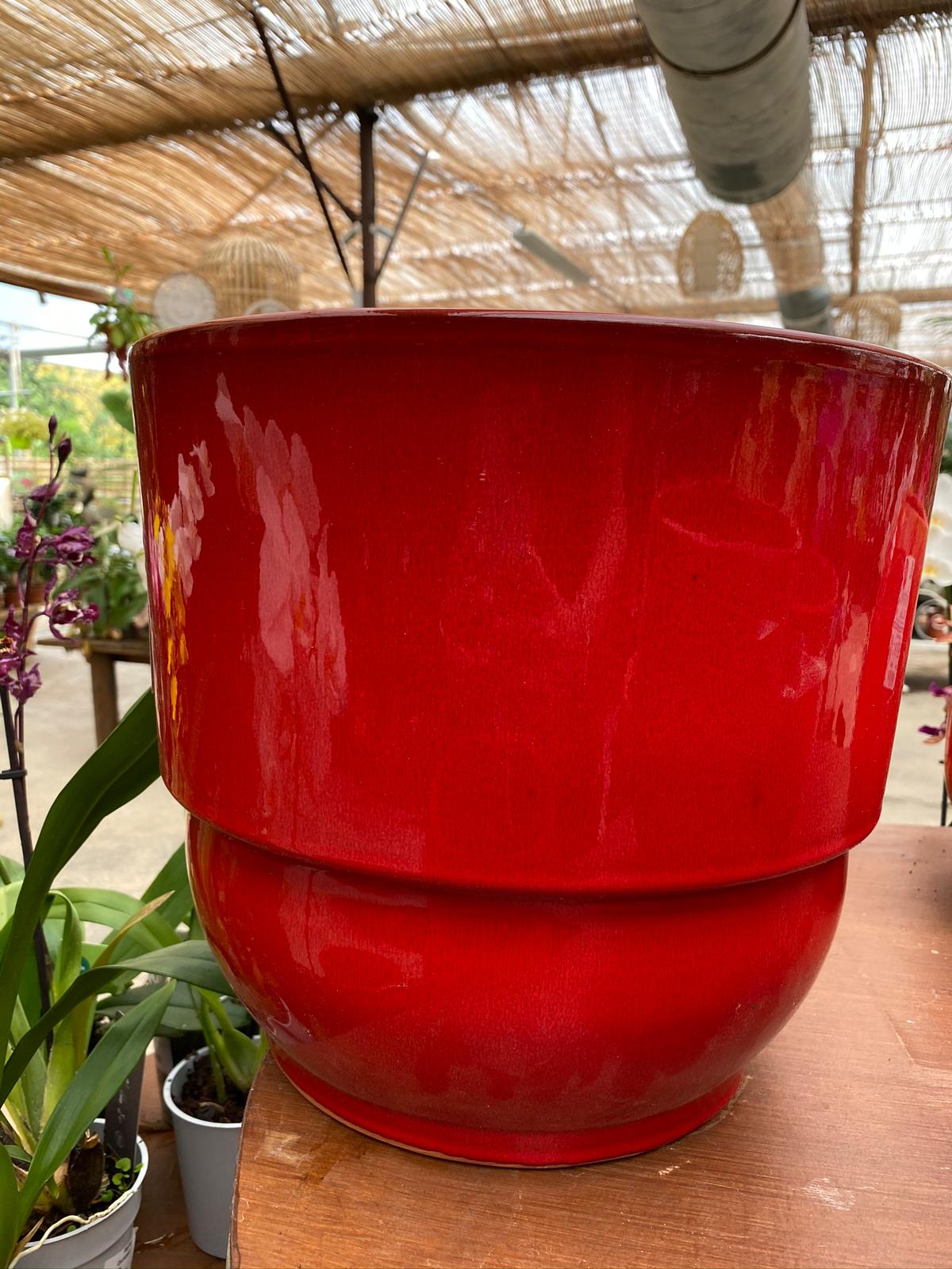 PEPINIERE DES ASPRES GRASSE 2024 ALPES MARITIMES JARDINERIE