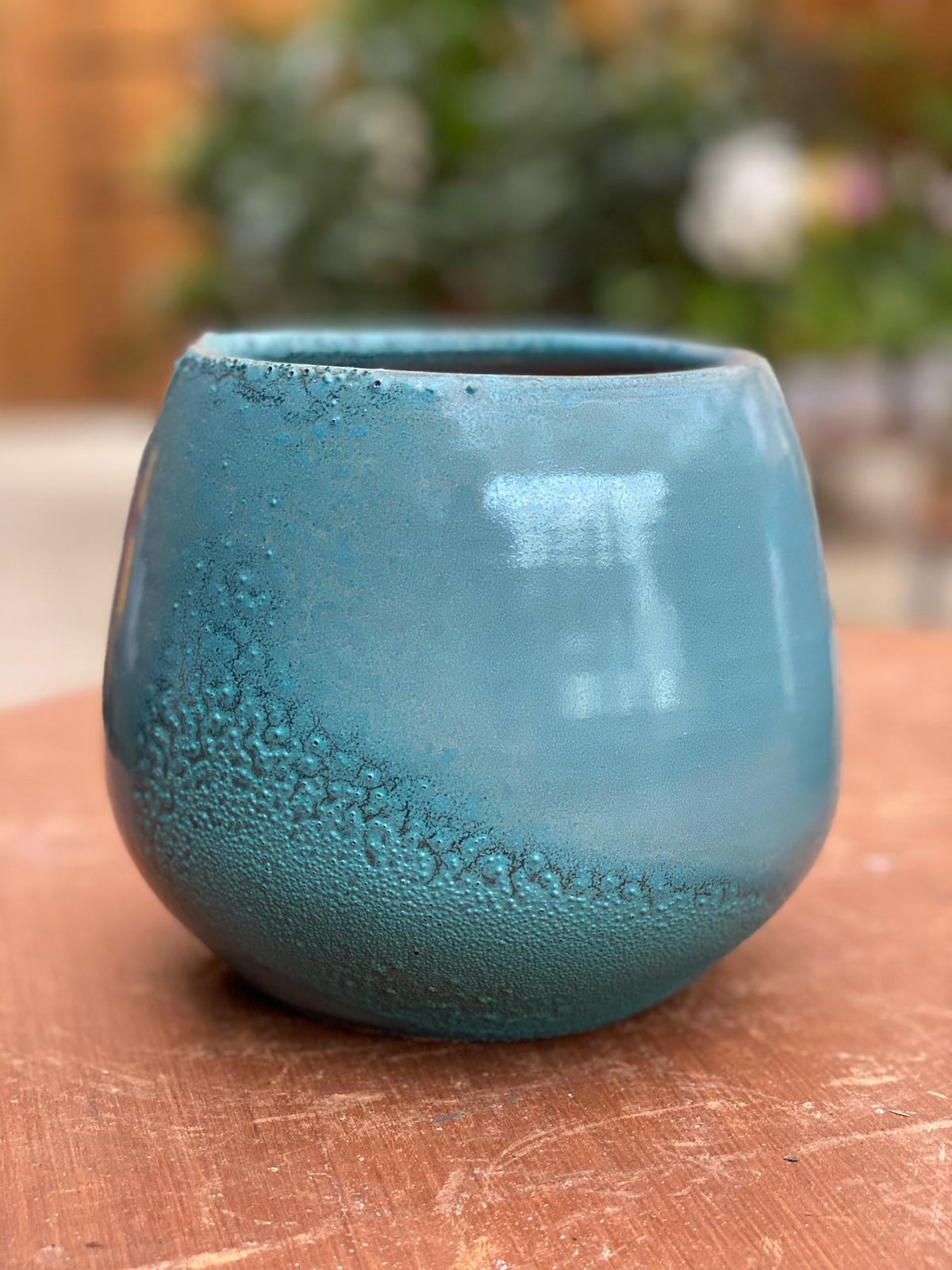 PEPINIERE DES ASPRES GRASSE 2024 ALPES MARITIMES JARDINERIE