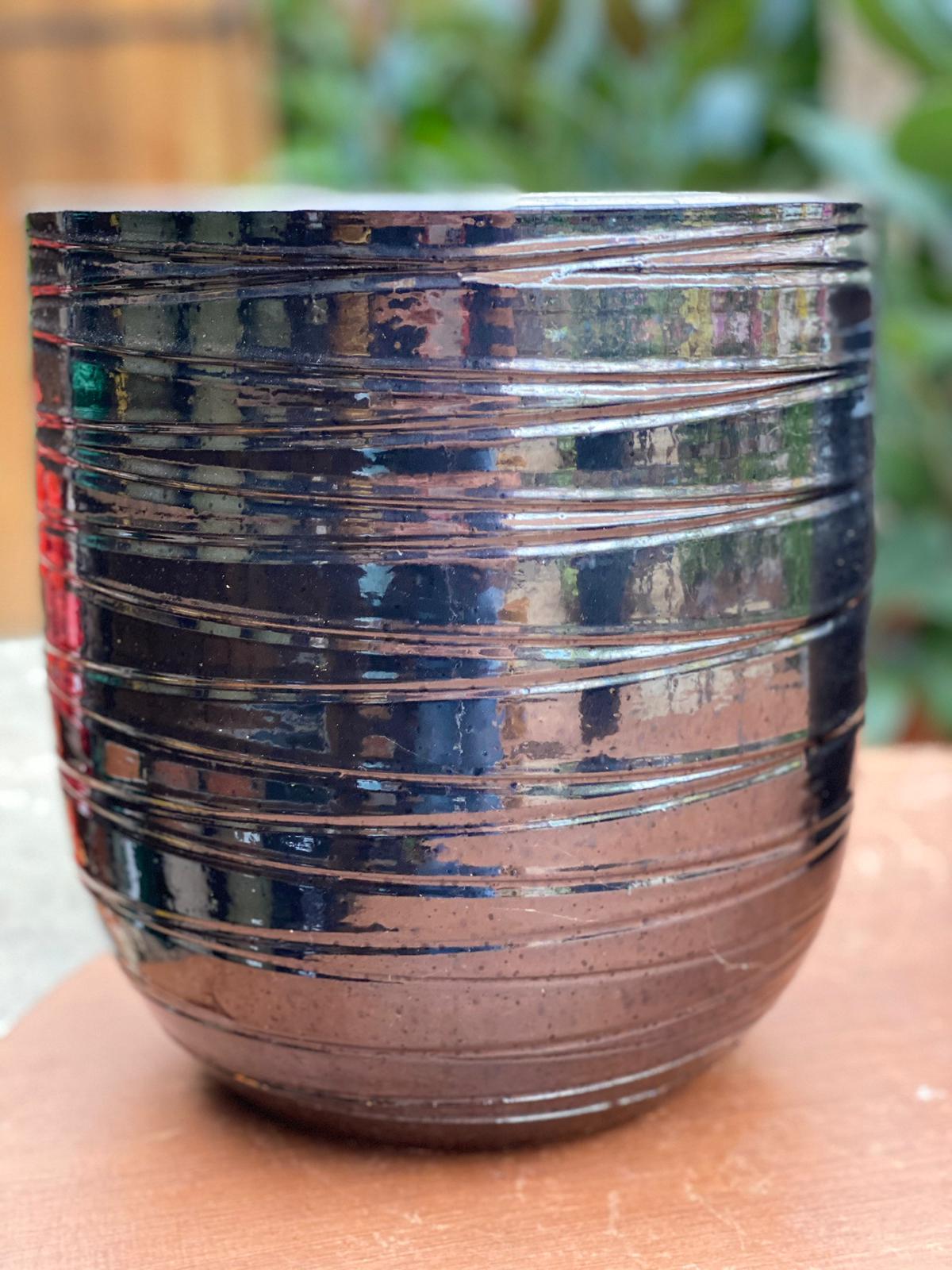 PEPINIERE DES ASPRES GRASSE 2024 ALPES MARITIMES JARDINERIE