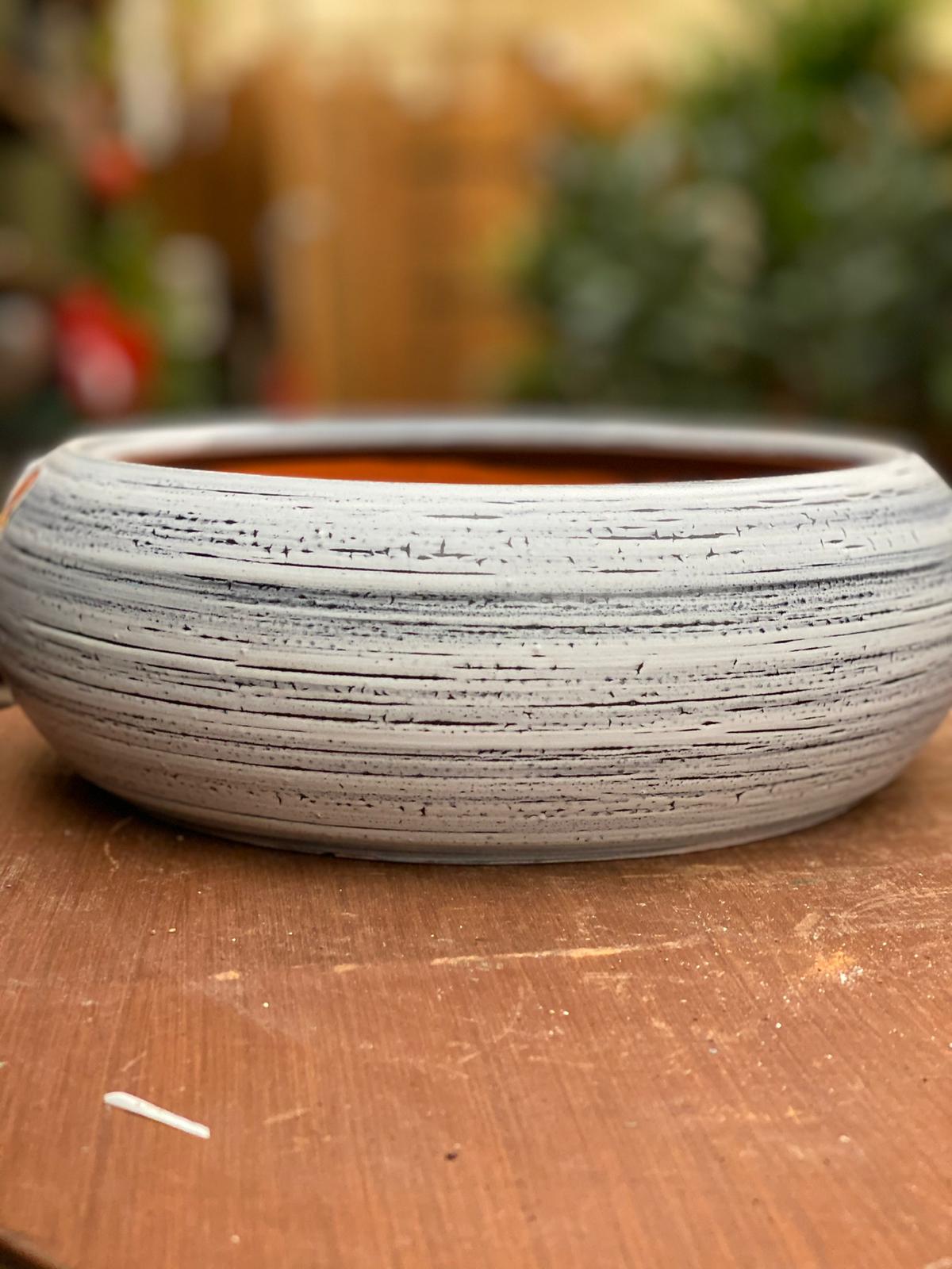 PEPINIERE DES ASPRES GRASSE 2024 ALPES MARITIMES JARDINERIE