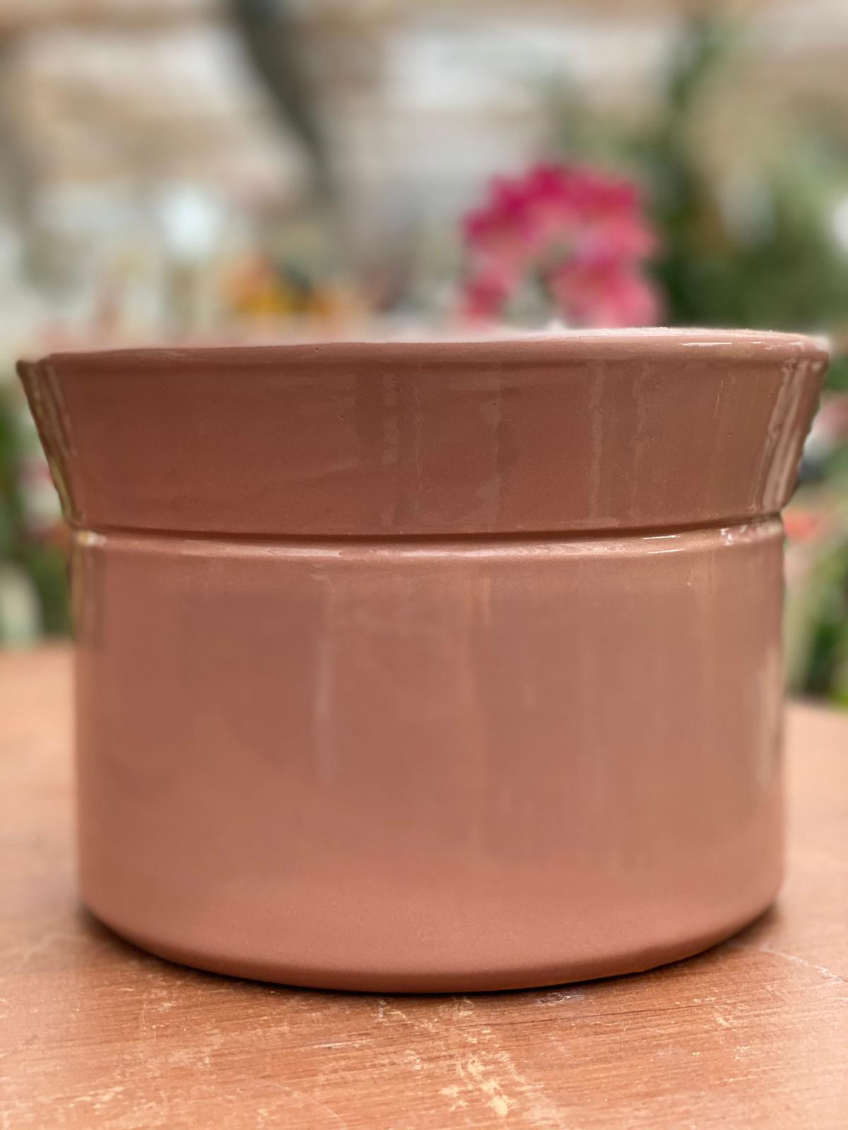 PEPINIERE PEPINIERE DES ASPRES GRASSE 2024 ALPES MARITIMES JARDINERIE ASPRES GRASSE 2024 ALPES MARITIMES JARDINERIE