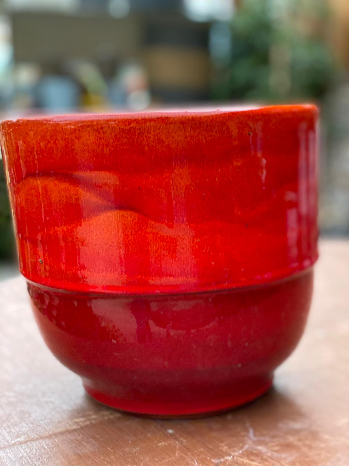 PEPINIERE DES ASPRES GRASSE 2024 ALPES MARITIMES JARDINERIE