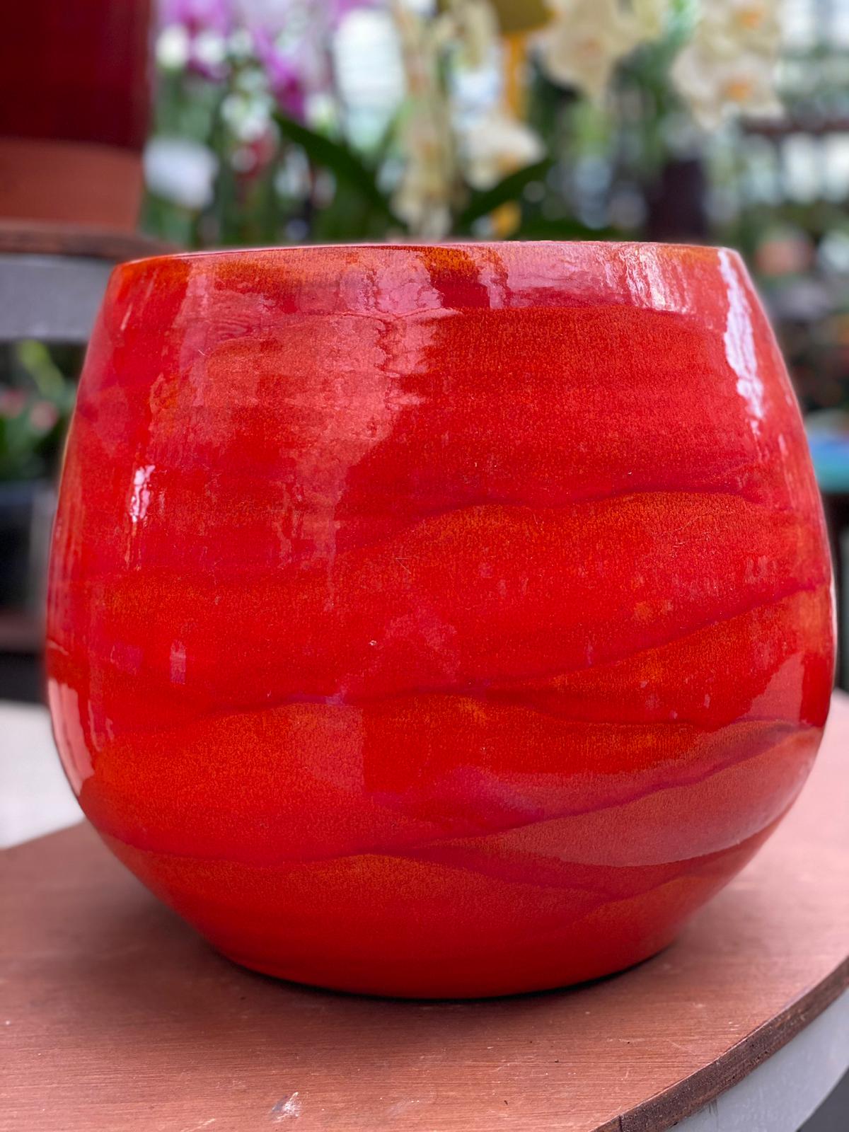 PEPINIERE DES ASPRES GRASSE 2024 ALPES MARITIMES JARDINERIE