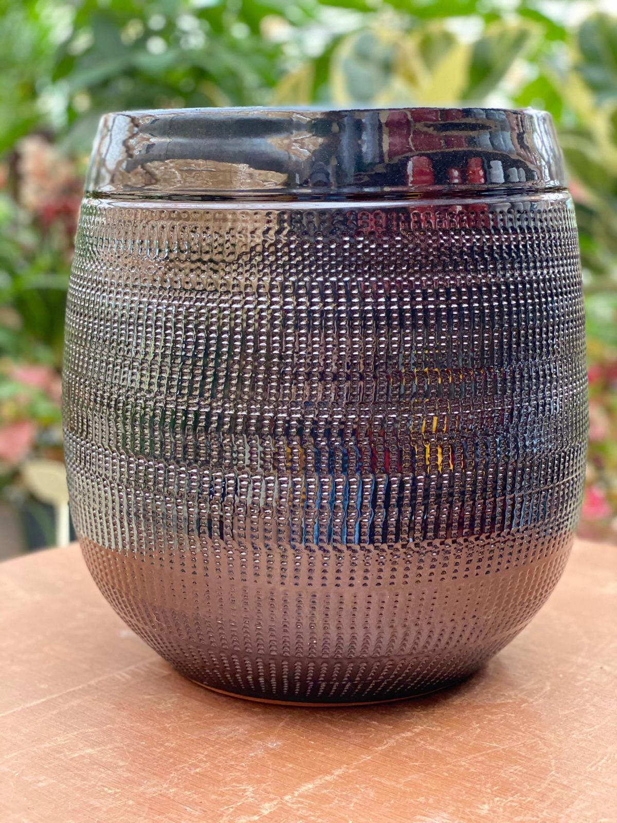 PEPINIERE DES ASPRES GRASSE 2024 ALPES MARITIMES JARDINERIE