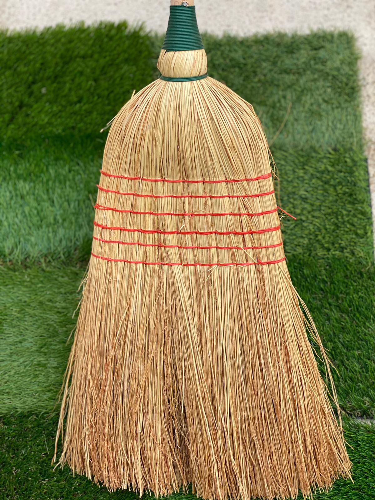 PEPINIERE DES ASPRES GRASSE 2024 ALPES MARITIMES JARDINERIE