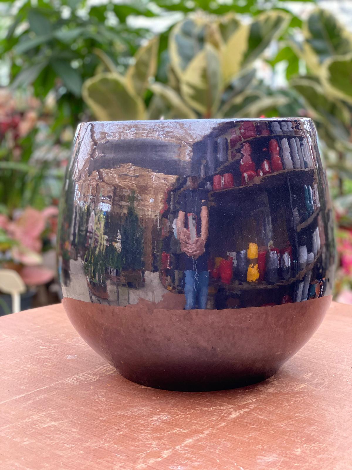 PEPINIERE DES ASPRES GRASSE 2024 ALPES MARITIMES JARDINERIE