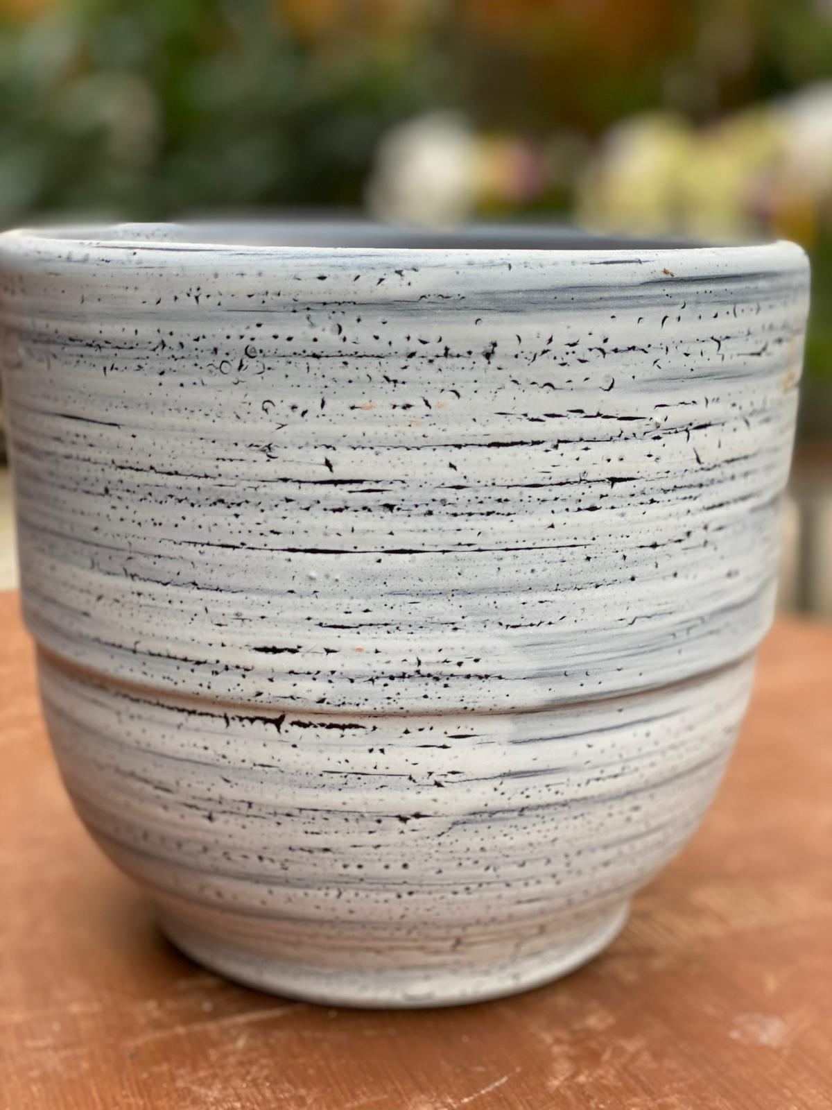 PEPINIERE DES ASPRES GRASSE 2024 ALPES MARITIMES JARDINERIE