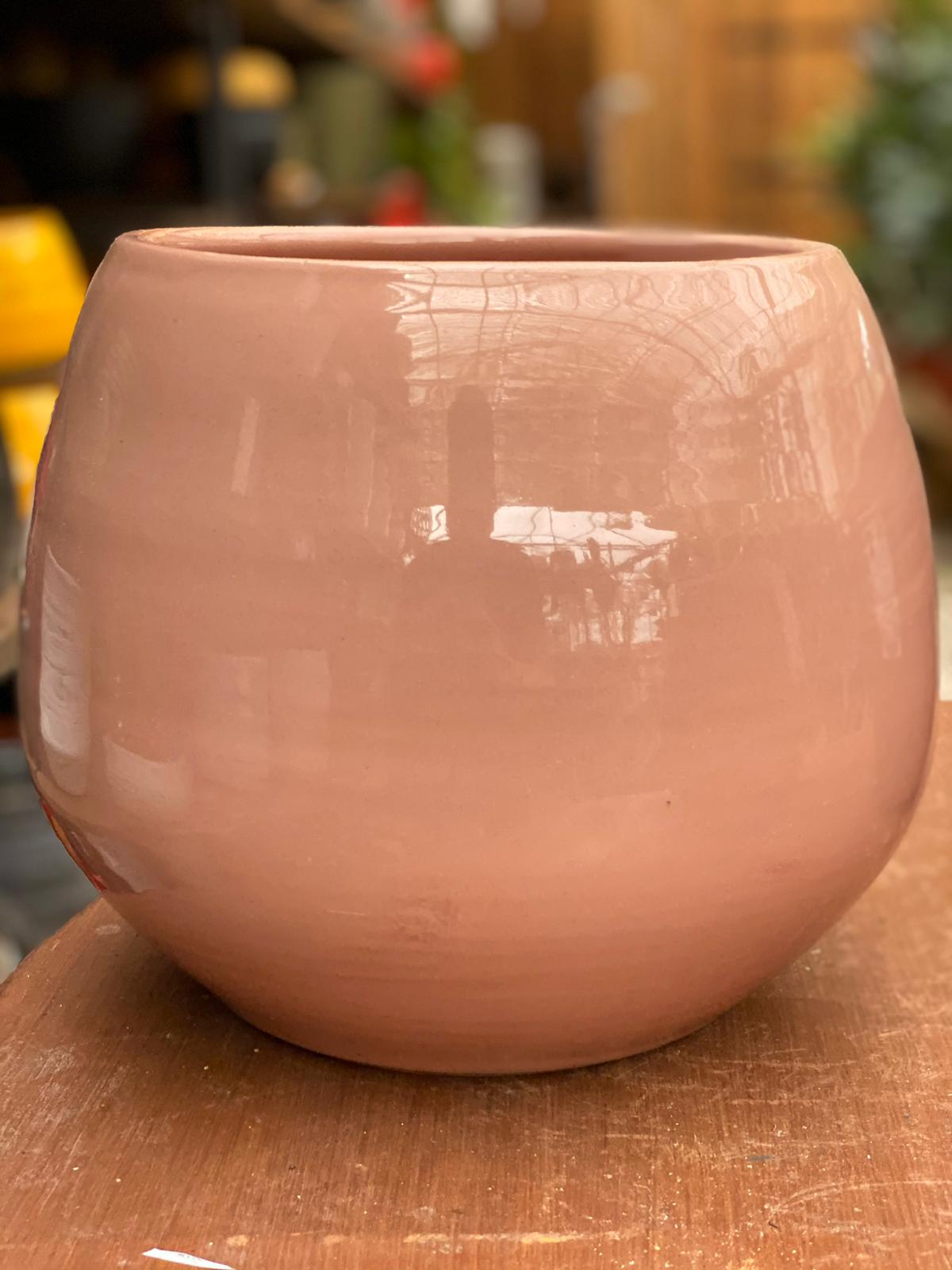 PEPINIERE DES ASPRES GRASSE 2024 ALPES MARITIMES JARDINERIE