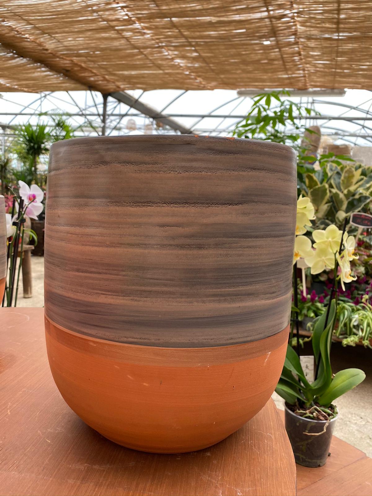 PEPINIERE DES ASPRES GRASSE 2024 ALPES MARITIMES JARDINERIE