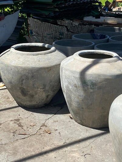 PEPINIERE DES ASPRES GRASSE 2024 ALPES MARITIMES JARDINERIE