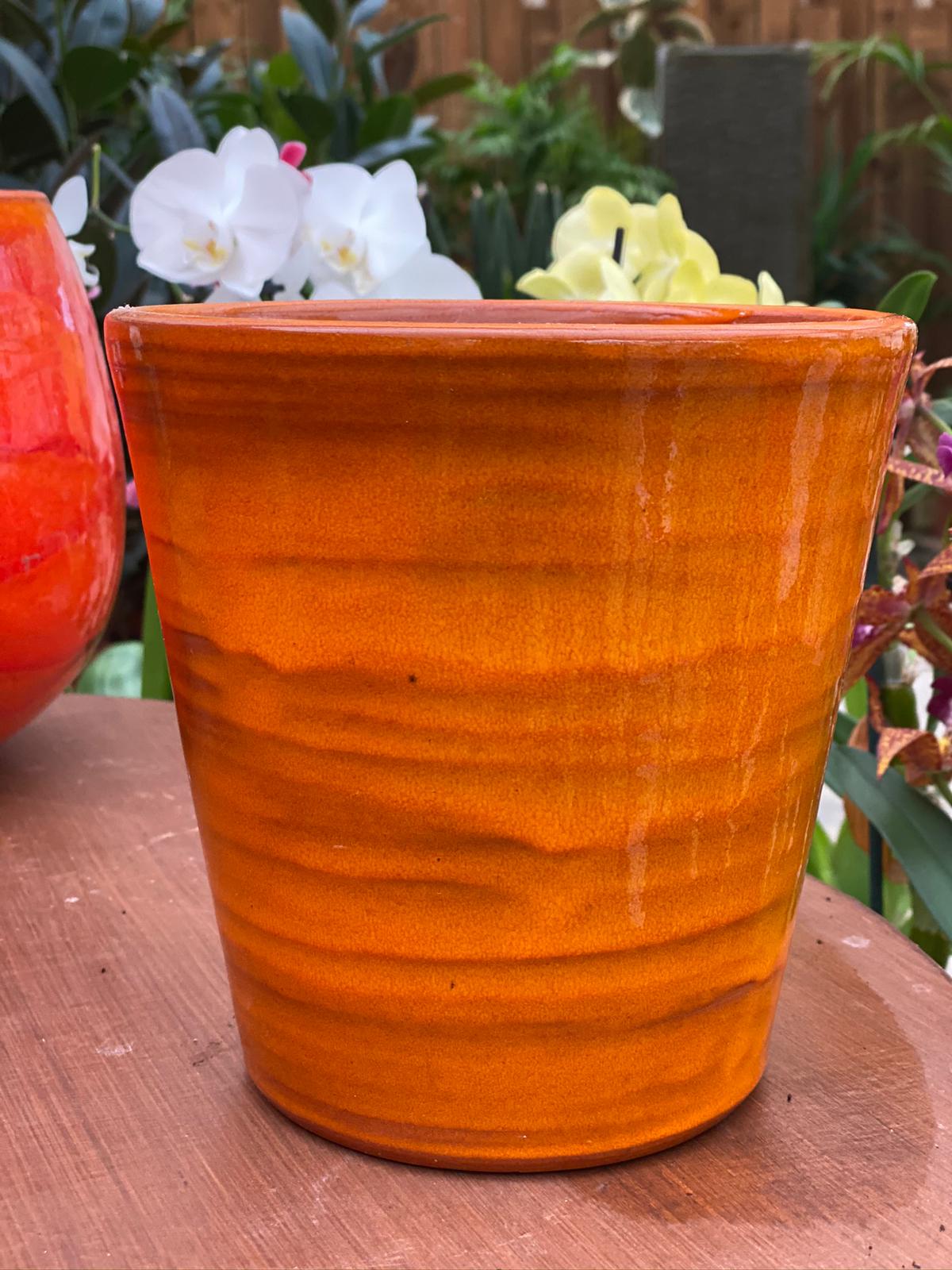 PEPINIERE DES ASPRES GRASSE 2024 ALPES MARITIMES JARDINERIE