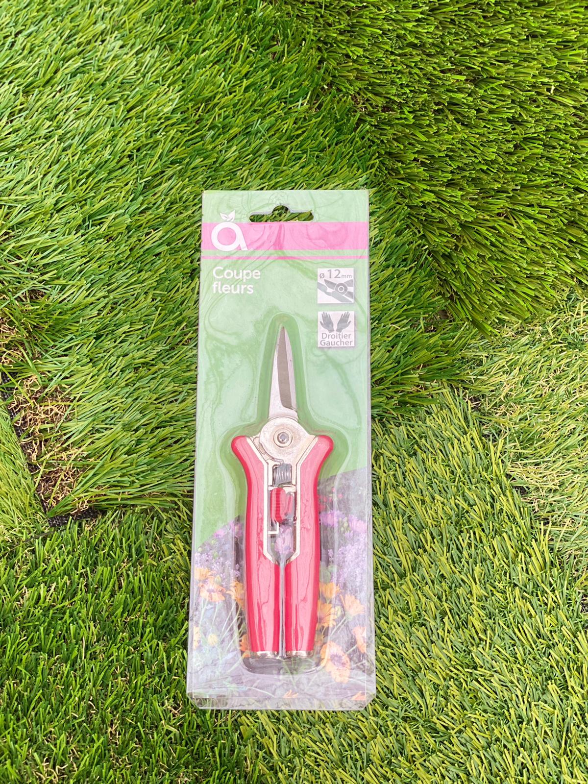 PEPINIERE DES ASPRES GRASSE 2024 ALPES MARITIMES JARDINERIE