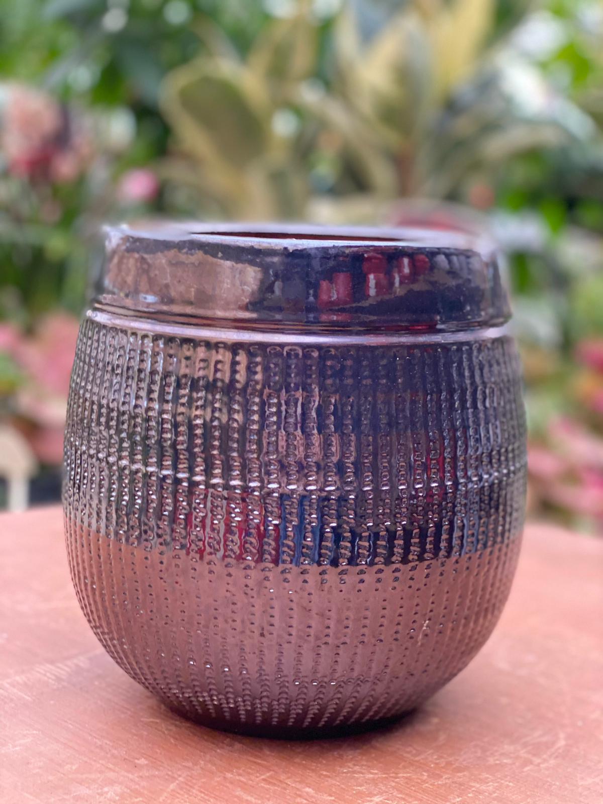 PEPINIERE DES ASPRES GRASSE 2024 ALPES MARITIMES JARDINERIE