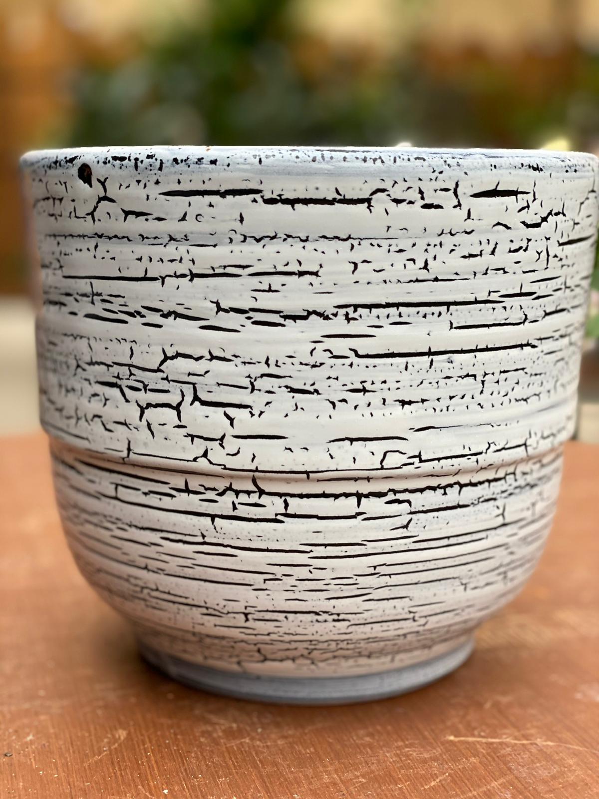 PEPINIERE DES ASPRES GRASSE 2024 ALPES MARITIMES JARDINERIE