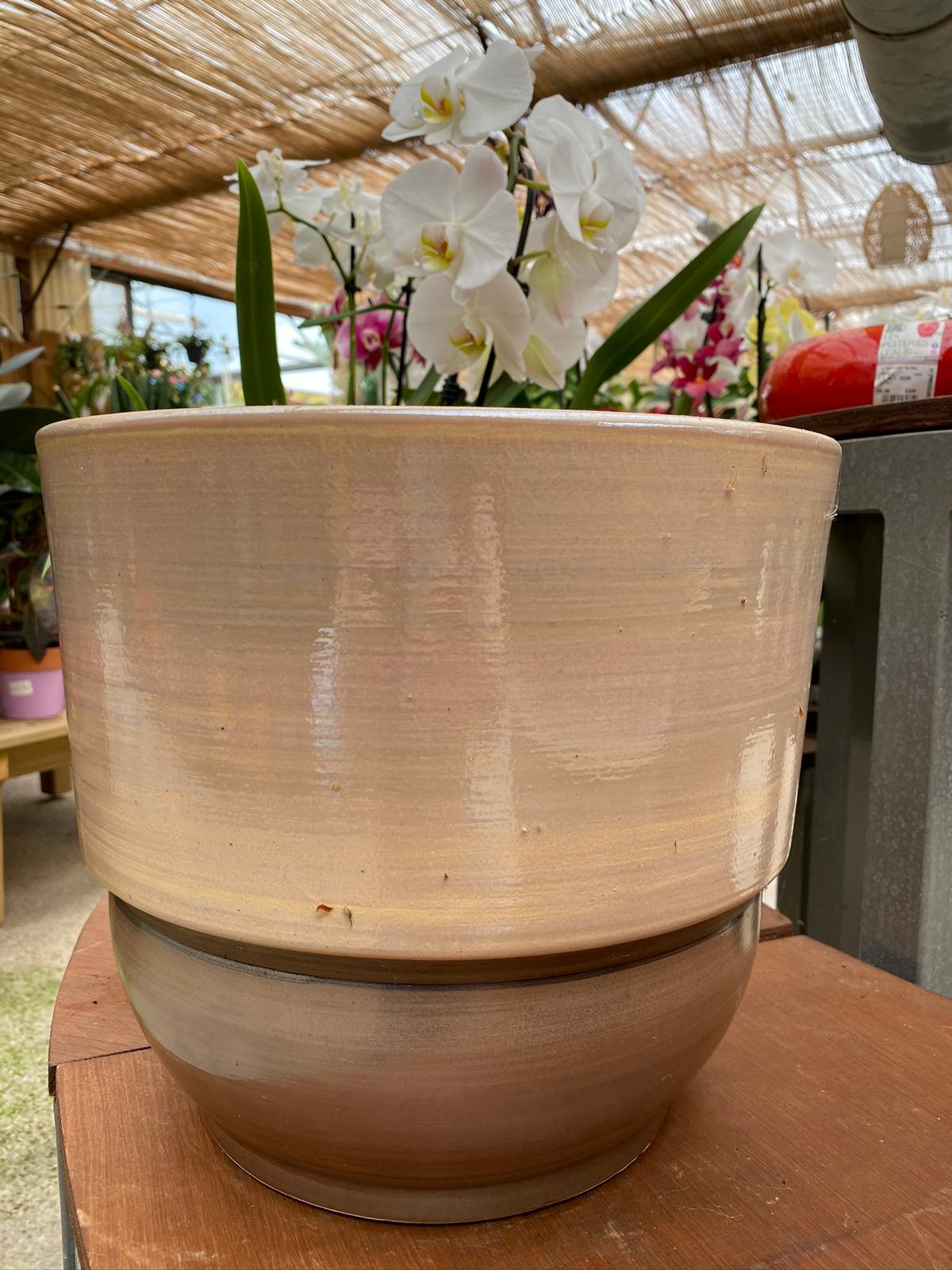 PEPINIERE DES ASPRES GRASSE 2024 ALPES MARITIMES JARDINERIE