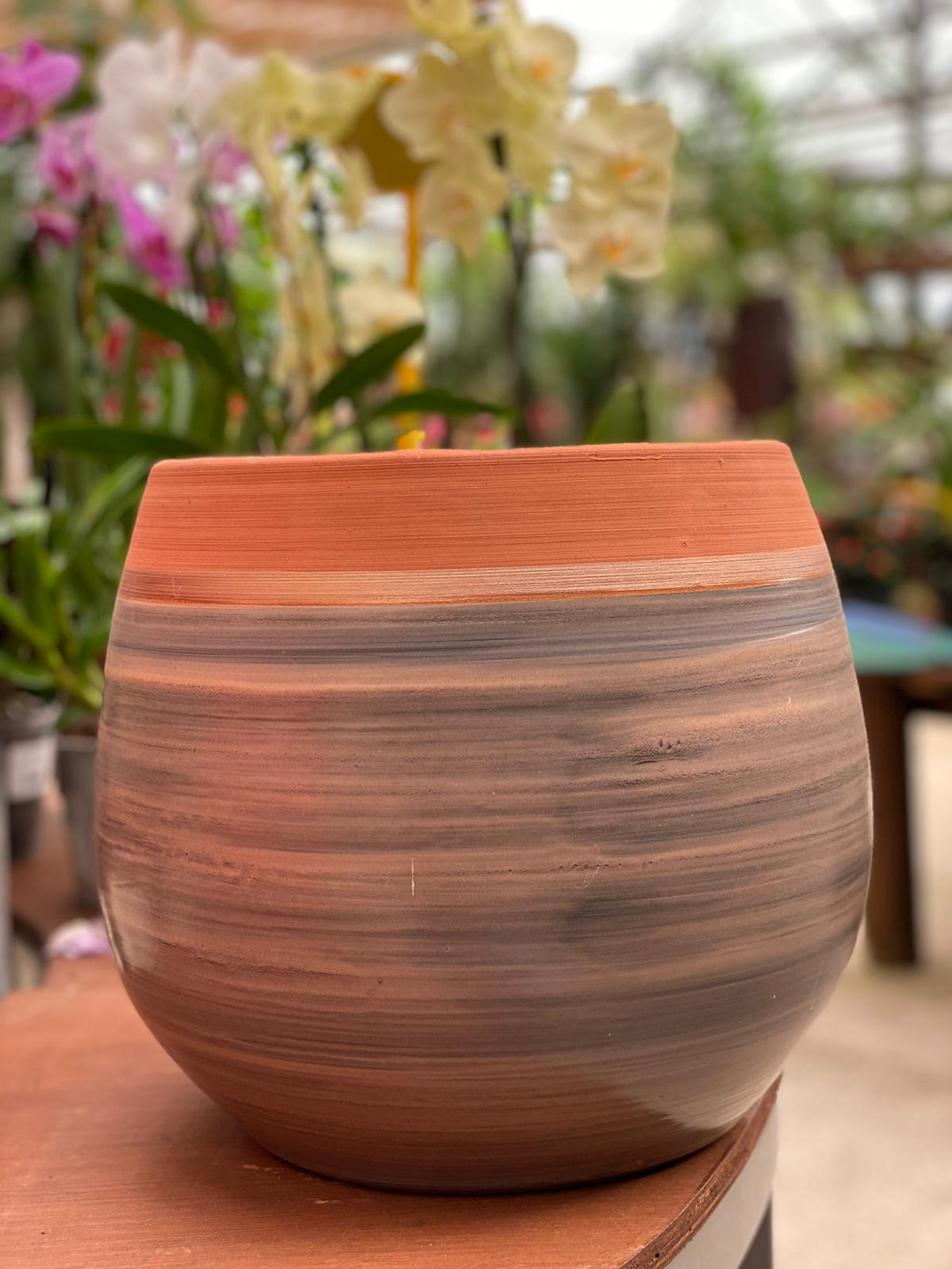 PEPINIERE DES ASPRES GRASSE 2024 ALPES MARITIMES JARDINERIE