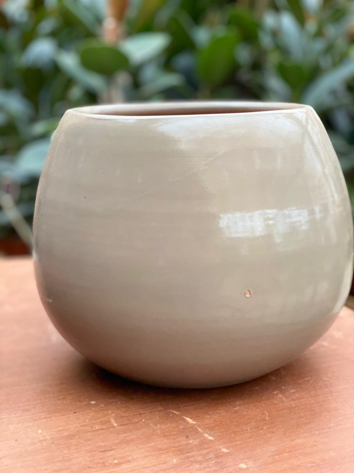 PEPINIERE DES ASPRES GRASSE 2024 ALPES MARITIMES JARDINERIE