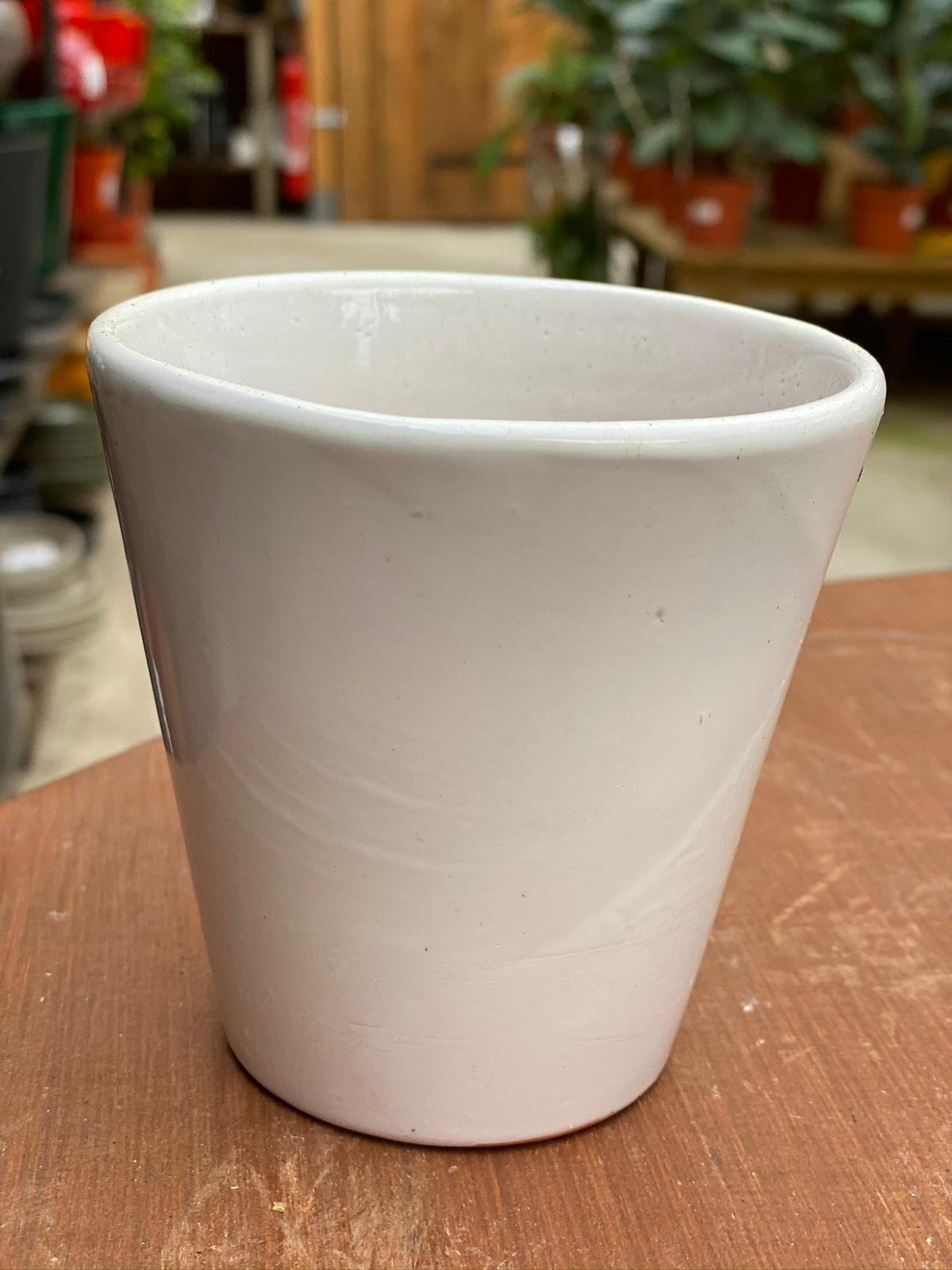 PEPINIERE DES ASPRES GRASSE 2024 ALPES MARITIMES JARDINERIE