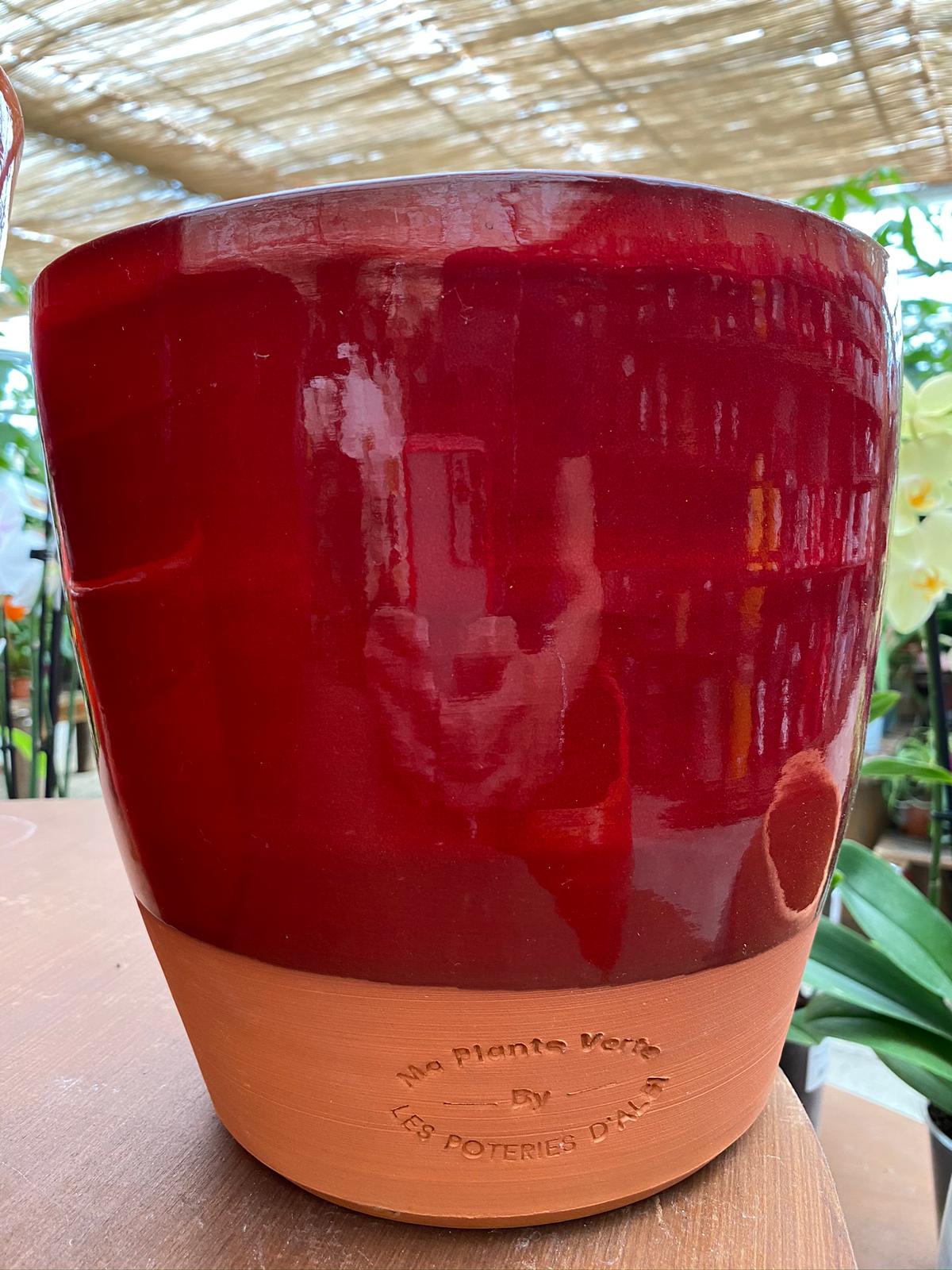 PEPINIERE DES ASPRES GRASSE 2024 ALPES MARITIMES JARDINERIE