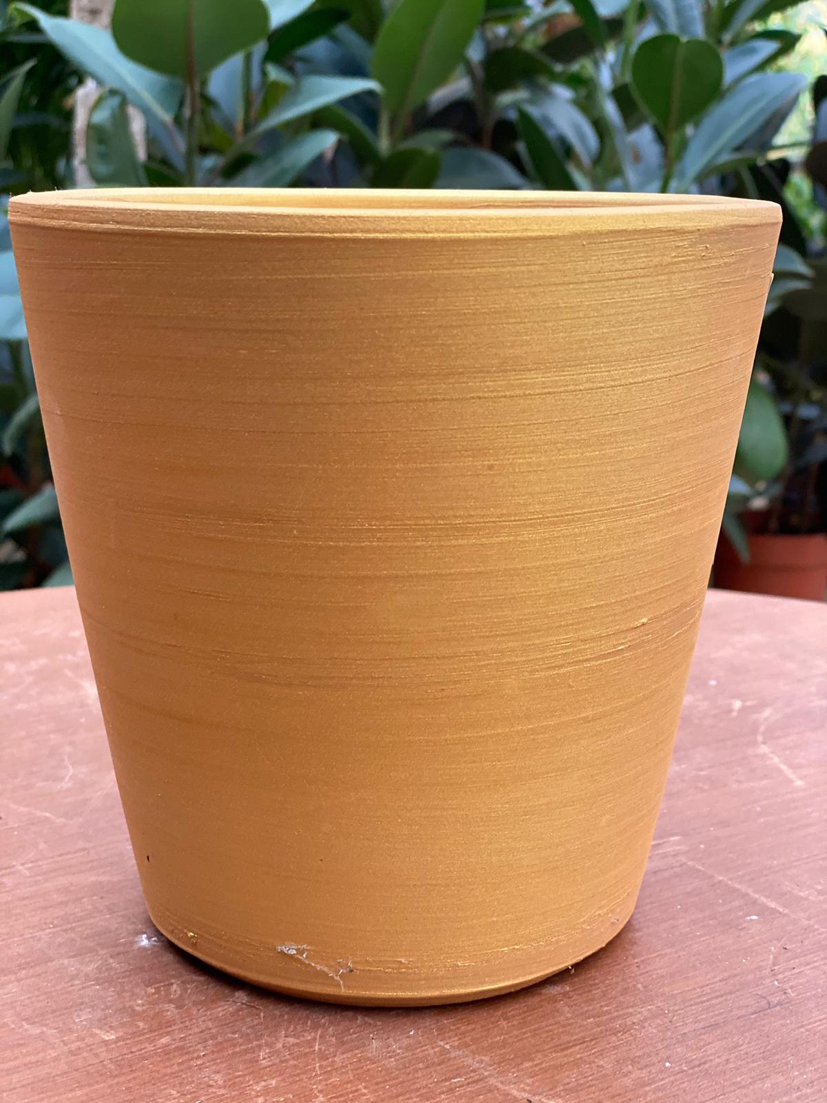 PEPINIERE DES ASPRES GRASSE 2024 ALPES MARITIMES JARDINERIE