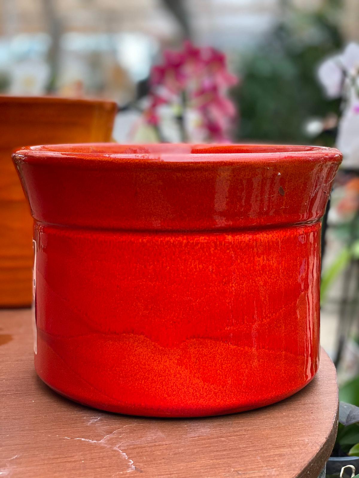 PEPINIERE DES ASPRES GRASSE 2024 ALPES MARITIMES JARDINERIE