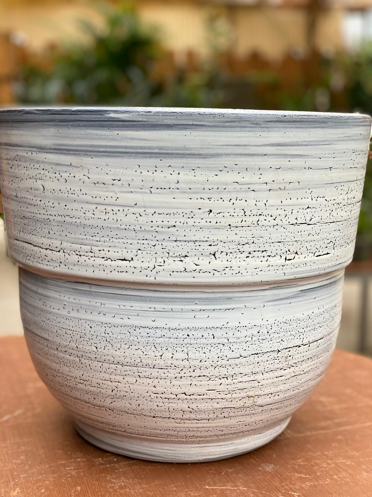 PEPINIERE DES ASPRES GRASSE 2024 ALPES MARITIMES JARDINERIE