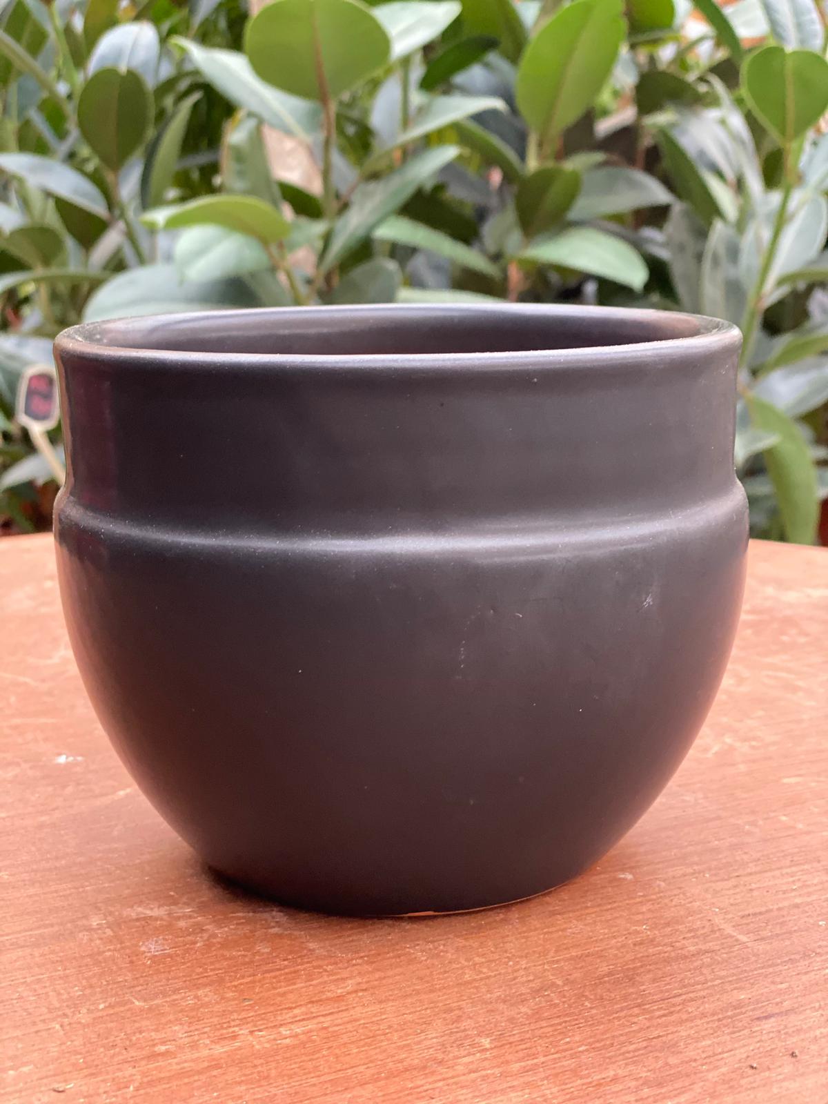 PEPINIERE DES ASPRES GRASSE 2024 ALPES MARITIMES JARDINERIE